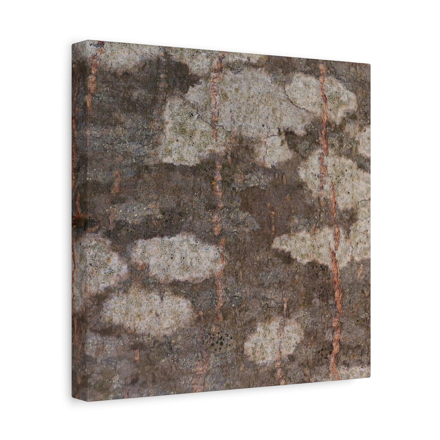 Earthen Memoir - Unique Frameless Canvas Wall Art