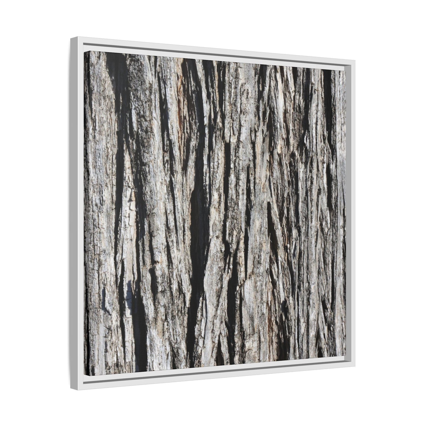 Bark Lines - Unique Stretched Canvas Wall Art