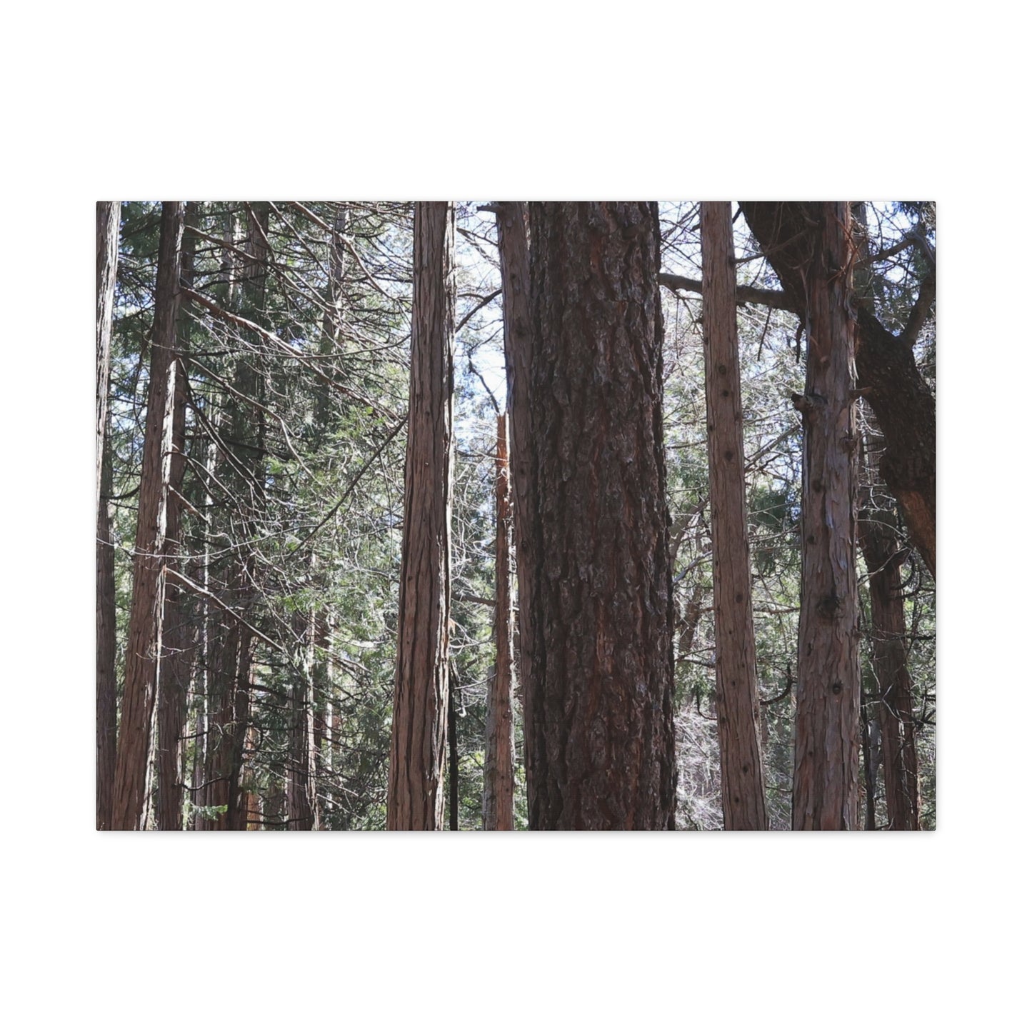 Vertical Sentinels - Unique Frameless Canvas Wall Art