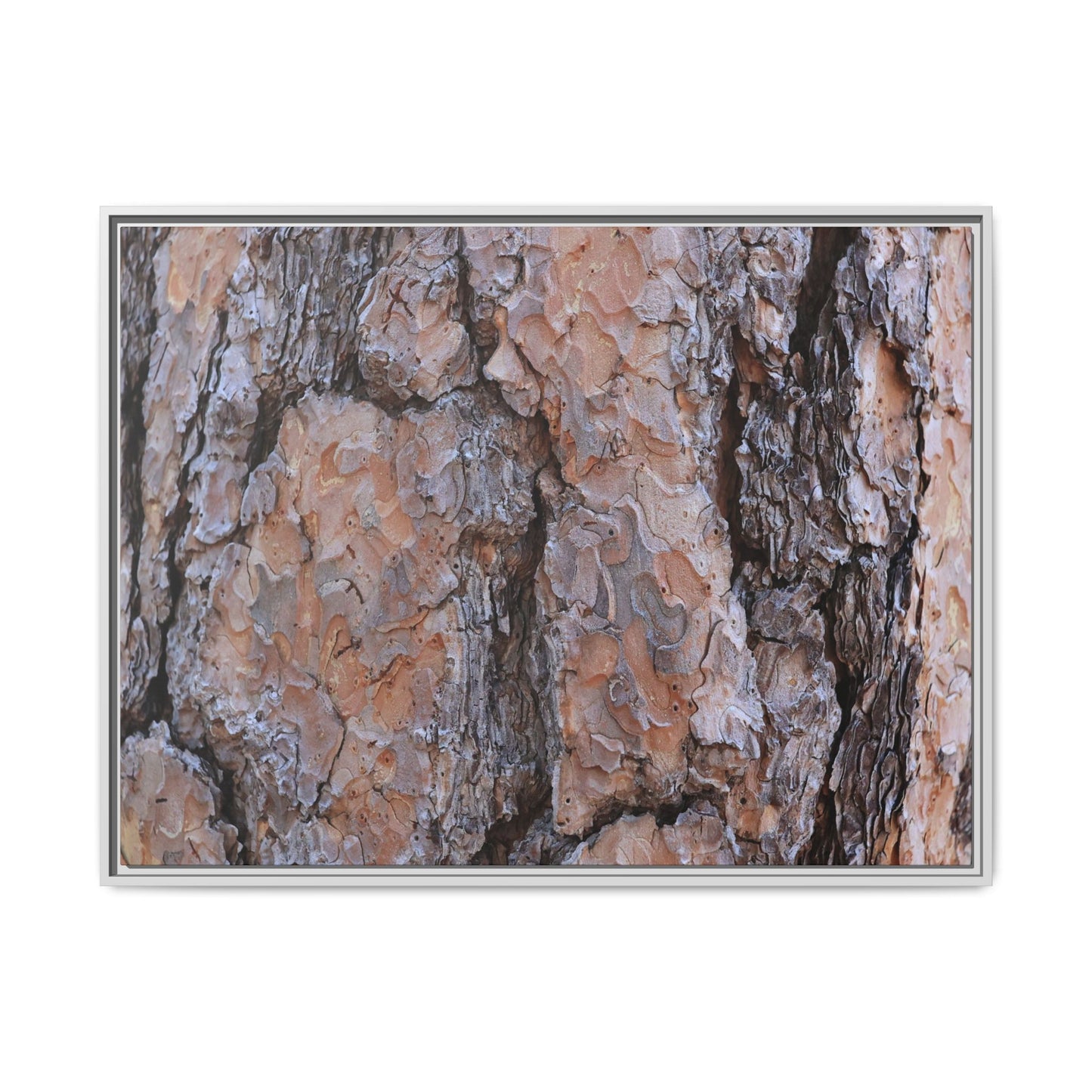 Tree Skin Symphony - Unique Stretched Canvas Wall Art