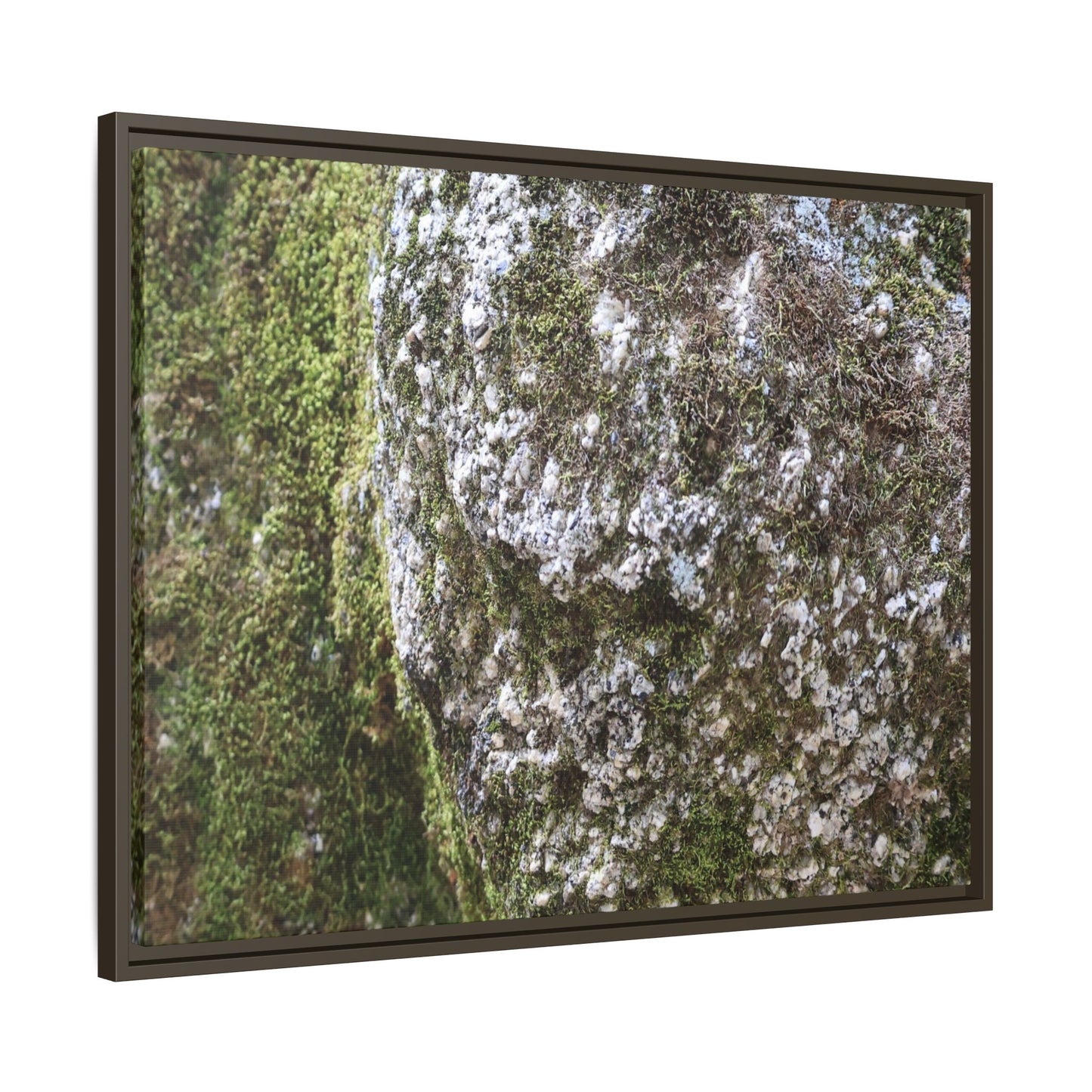 Lichen Landscape - Unique Stretched Canvas Wall Art