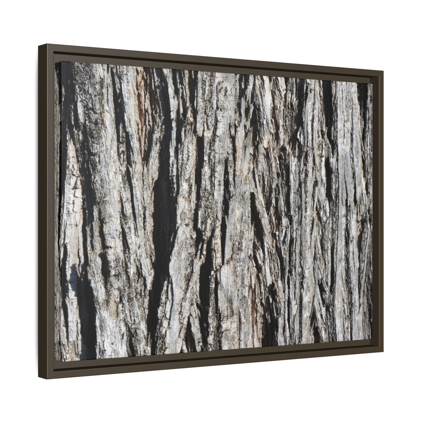 Nature's Abstract - Unique Stretched Canvas Wall Art