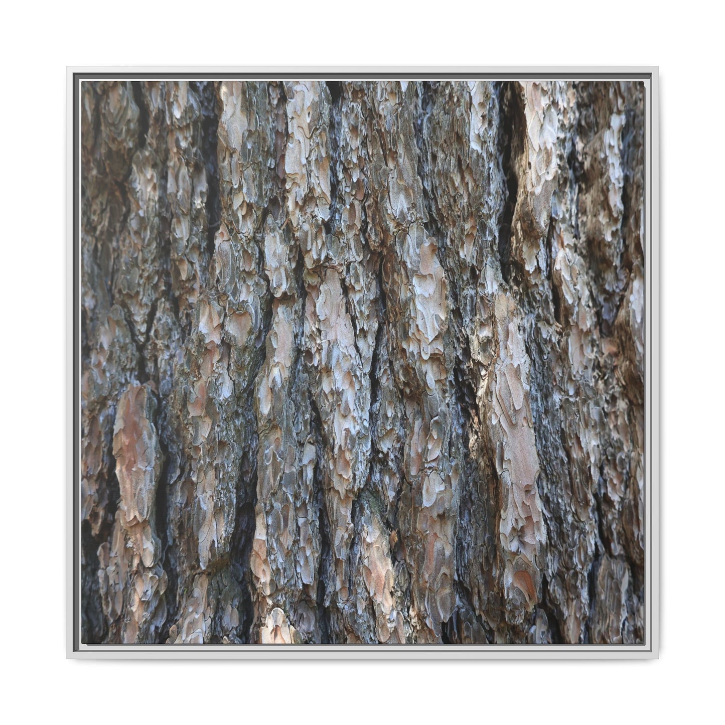 Bark Whispers - Unique Stretched Canvas Wall Art