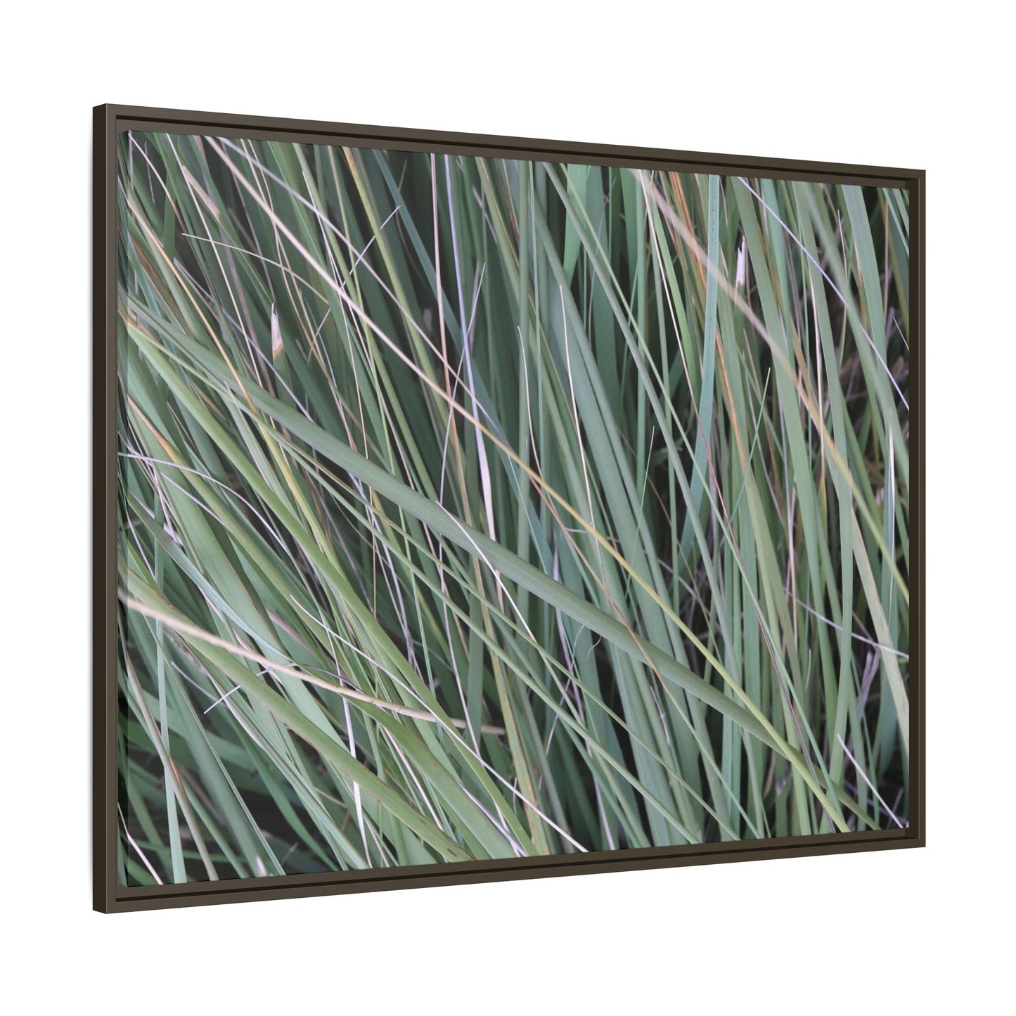 Grassland Symphony - Unique Stretched Canvas Wall Art