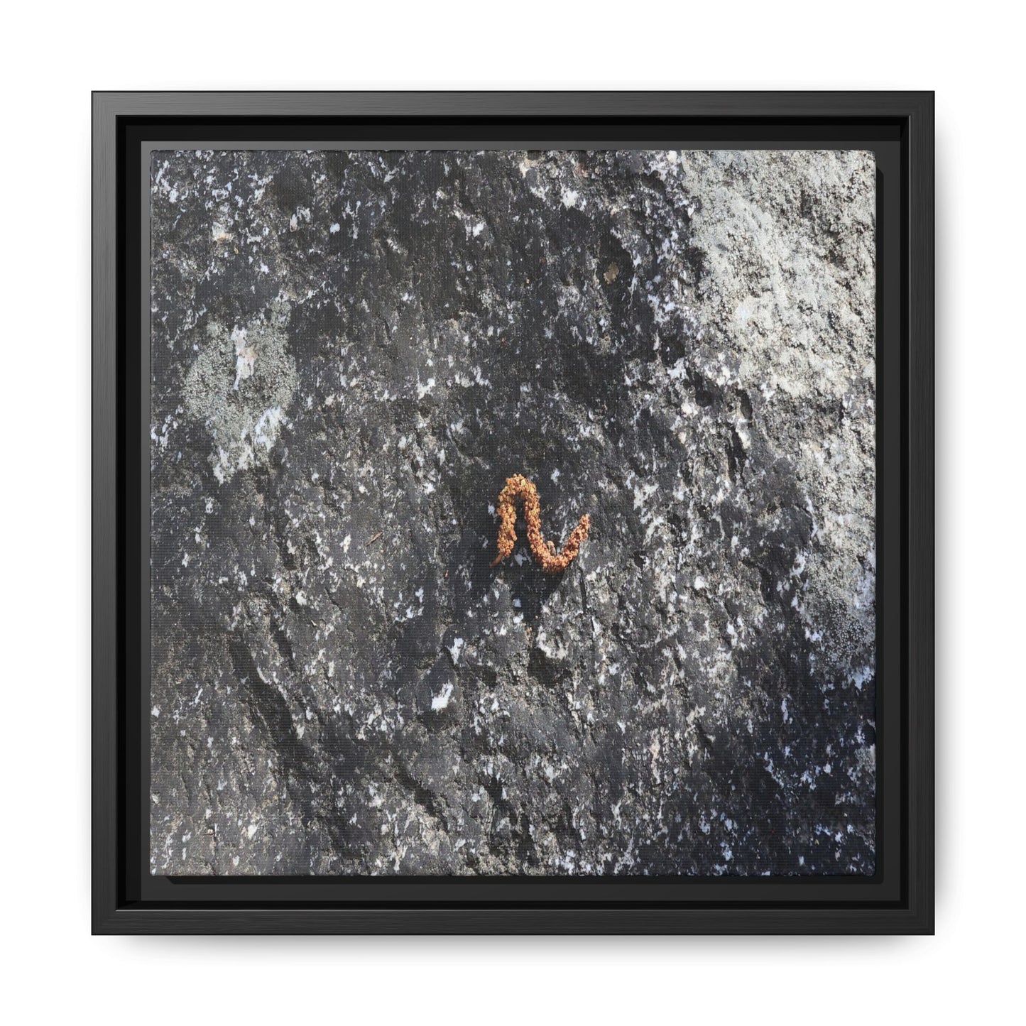 Volcanic Ash and Copper - Unique Stretched Canvas Wall Art