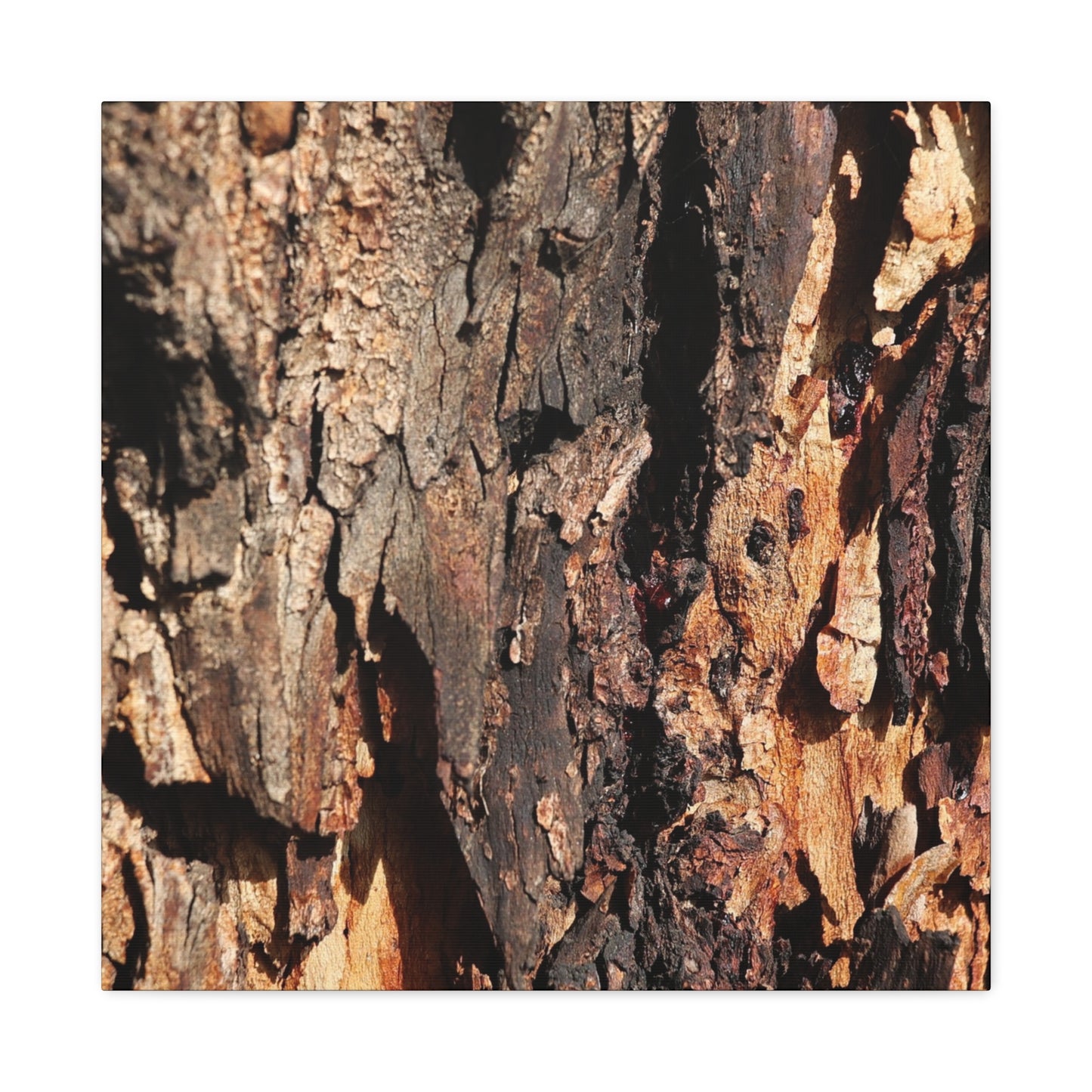 Wooden Terrain - Unique Frameless Canvas Wall Art