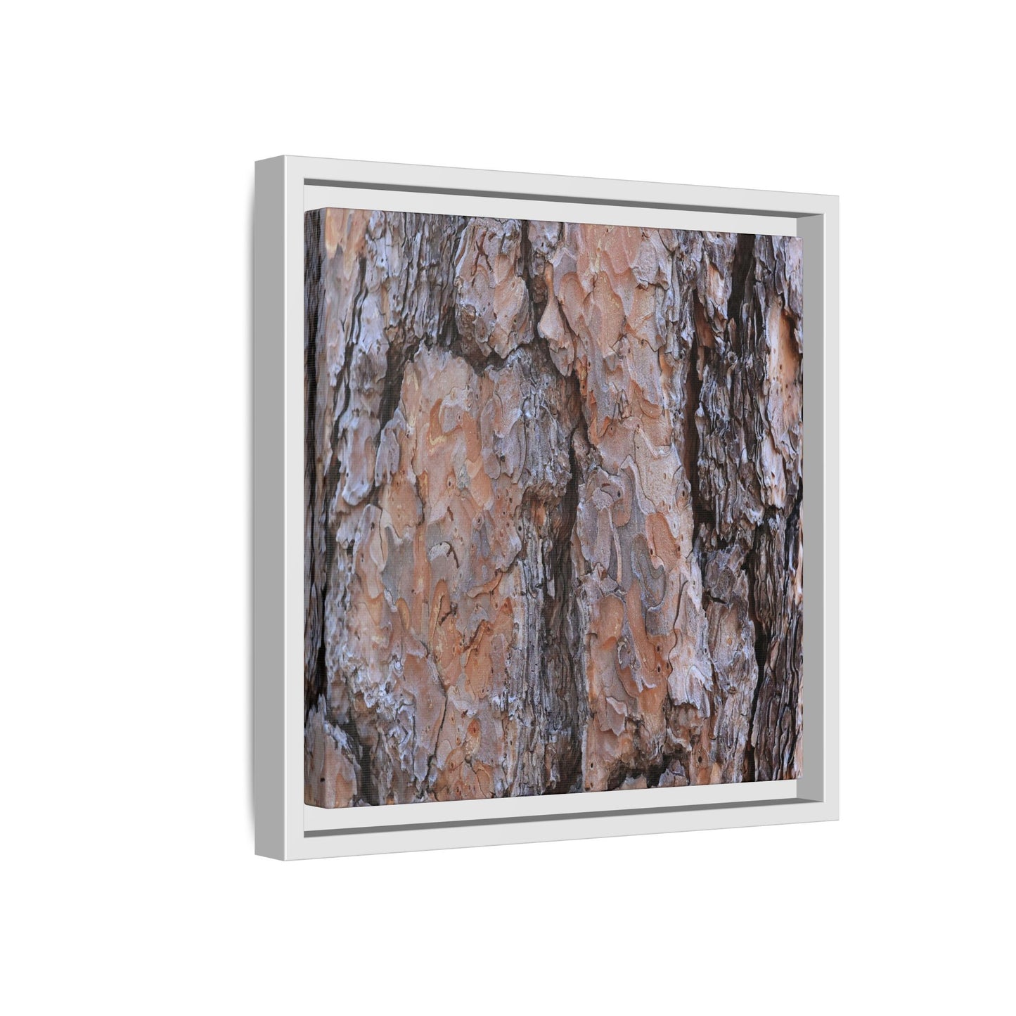 Tree Skin Symphony - Unique Stretched Canvas Wall Art