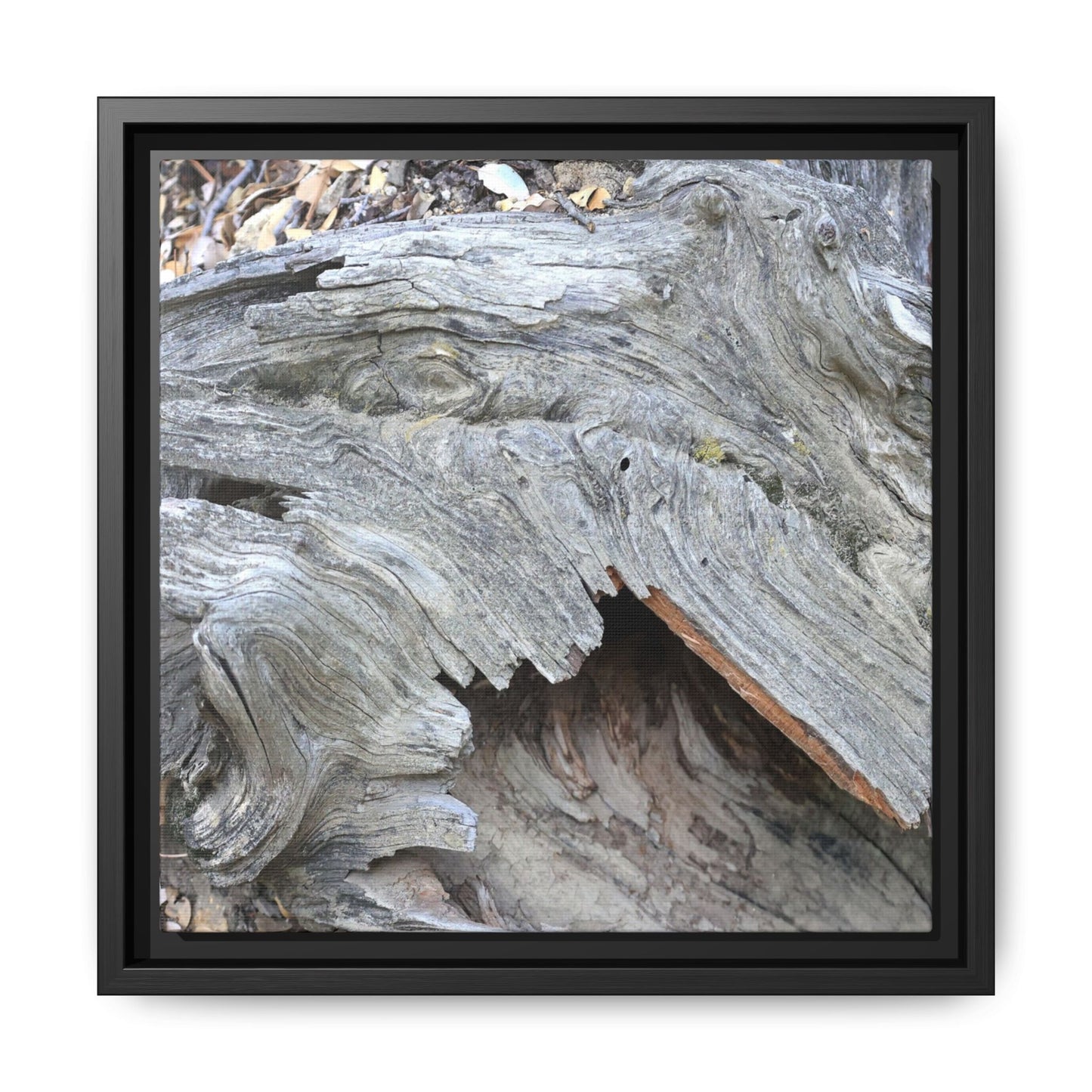 Driftwood Dreams - Unique Stretched Canvas Wall Art