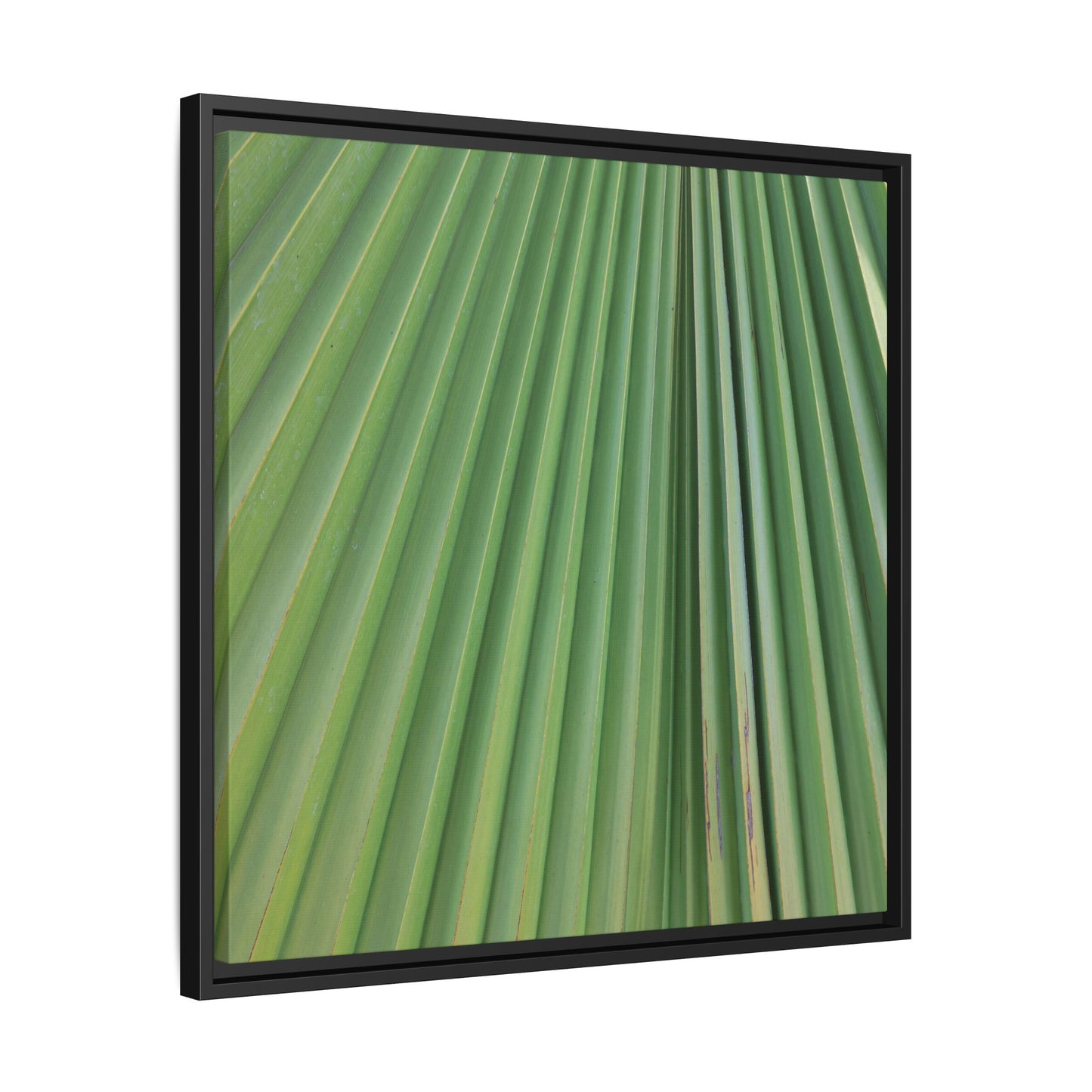 Emerald Rays - Unique Stretched Canvas Wall Art