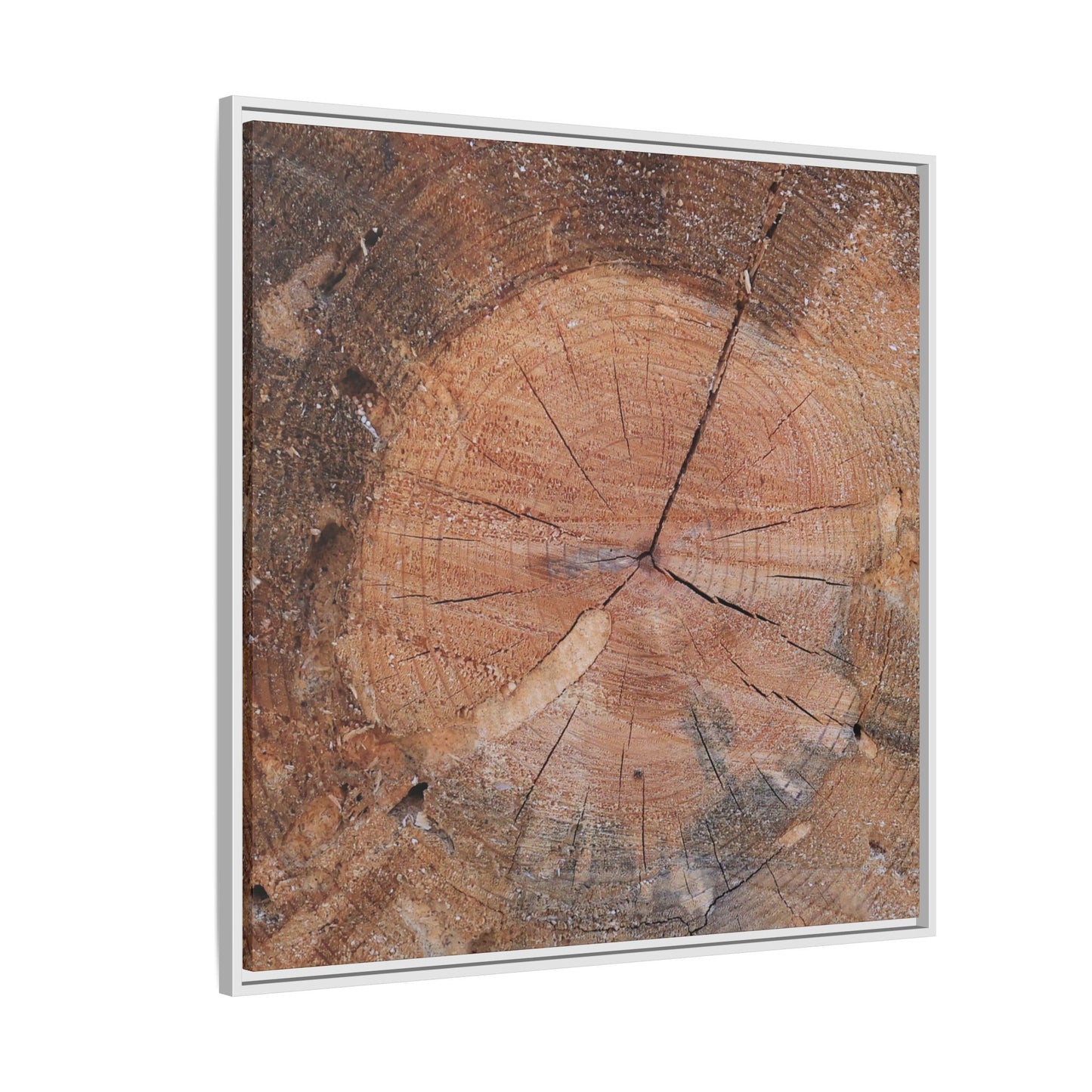 Concentric Memories - Unique Stretched Canvas Wall Art