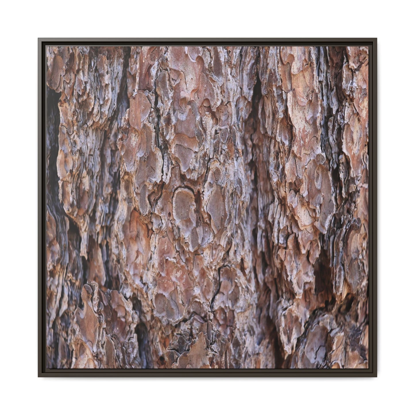 Woody Layers - Unique Stretched Canvas Wall Art