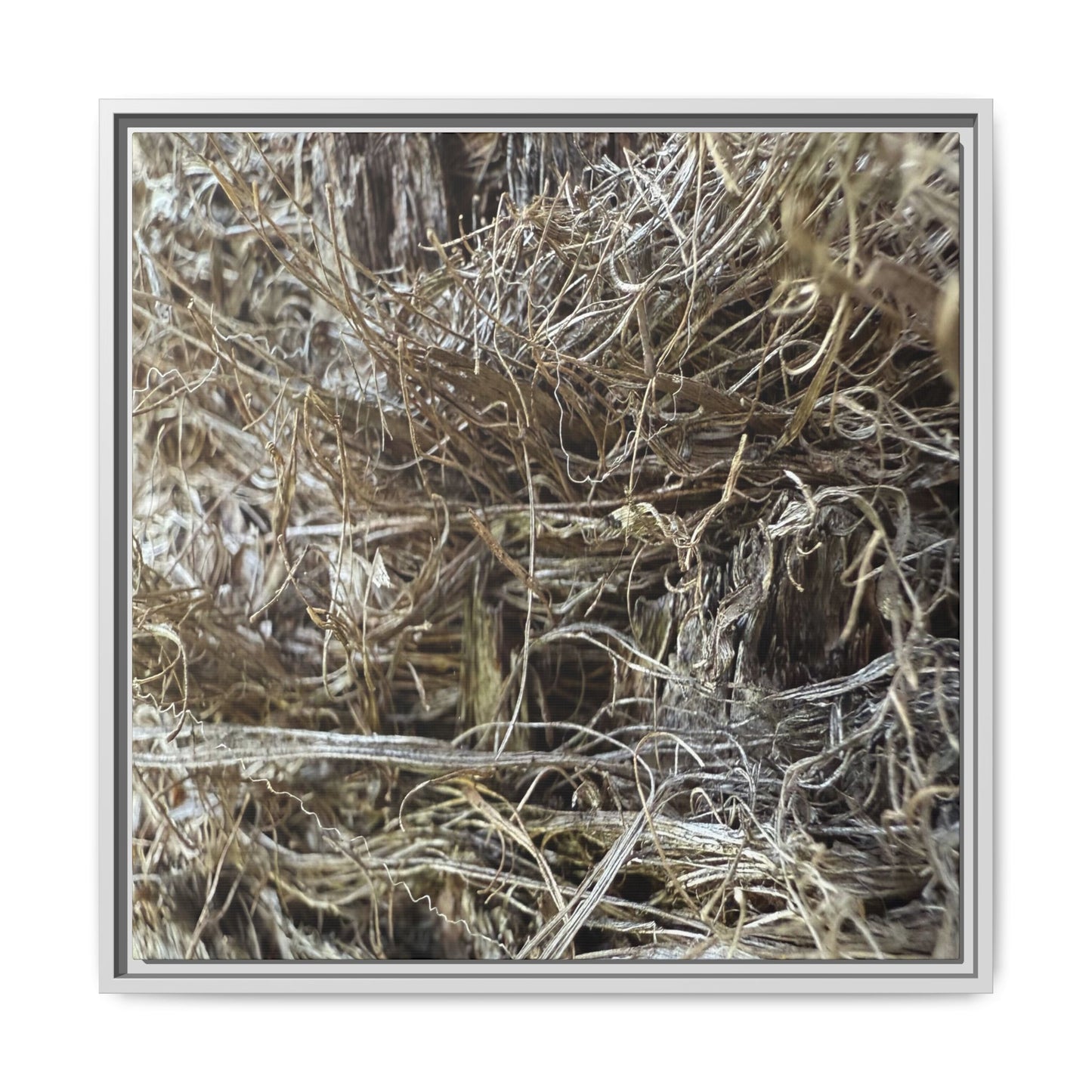 Tangled Whispers of Autumn - Unique Stretched Canvas Wall Art