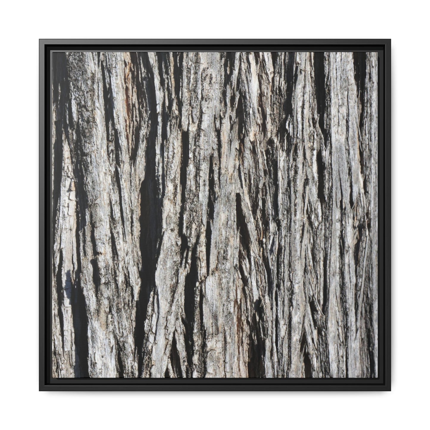 Nature's Abstract - Unique Stretched Canvas Wall Art