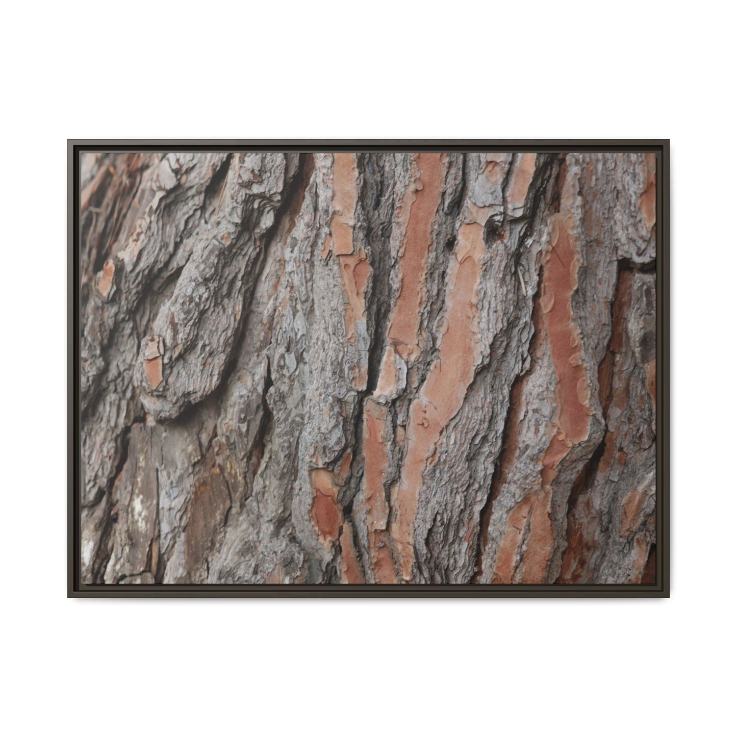 Woodland Layers - Unique Stretched Canvas Wall Art