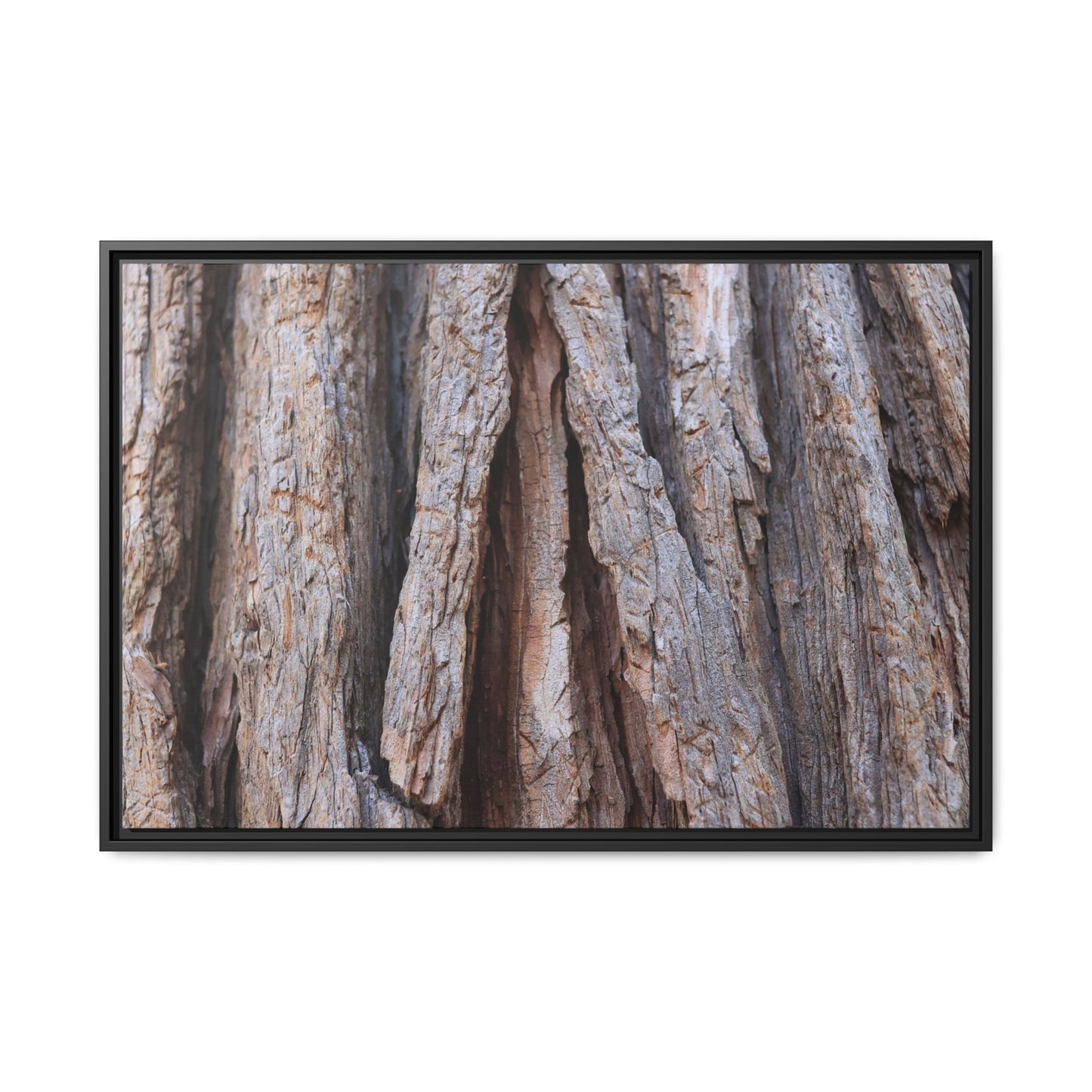 Nature's Sculpture - Unique Stretched Canvas Wall Art