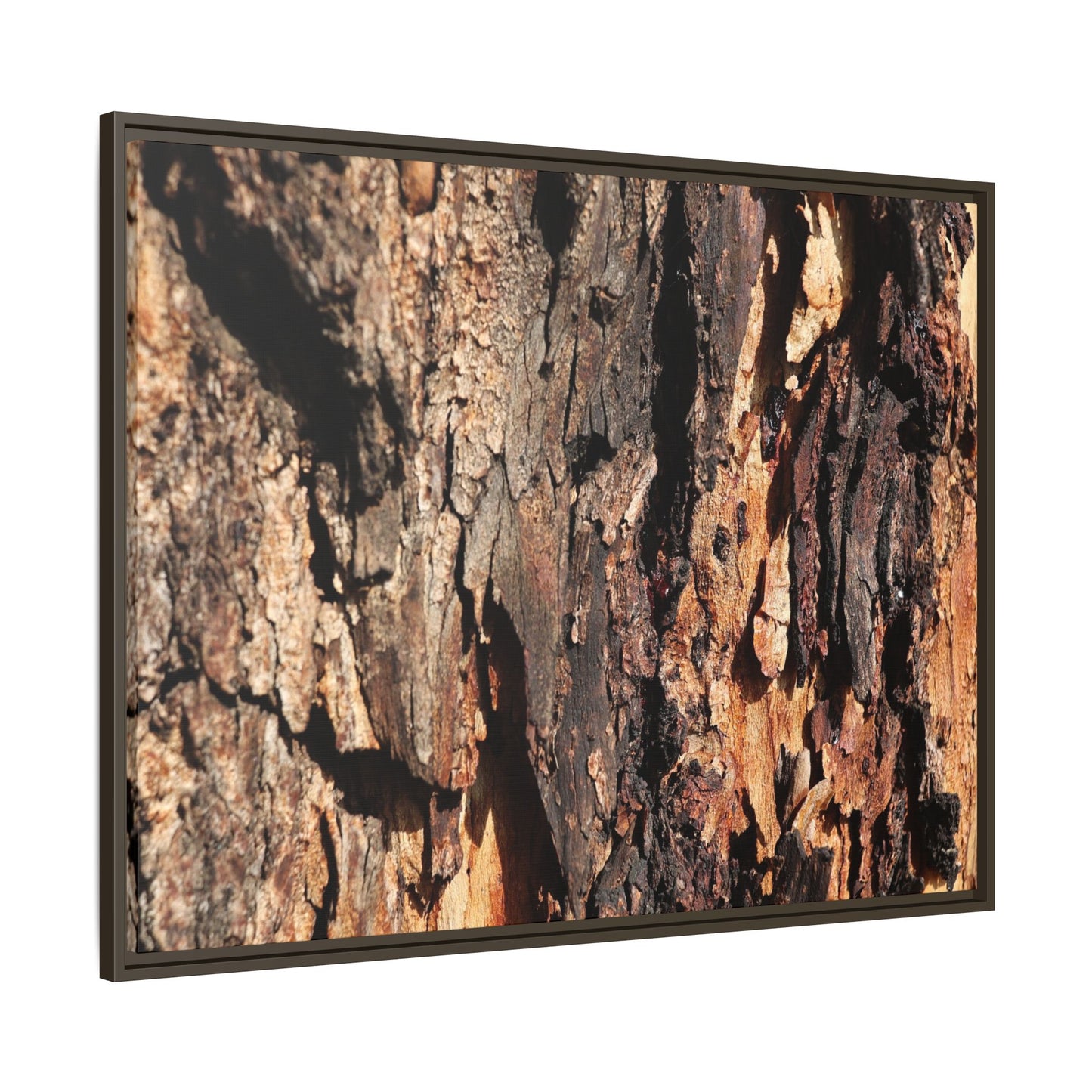 Rugged Beauty - Unique Stretched Canvas Wall Art