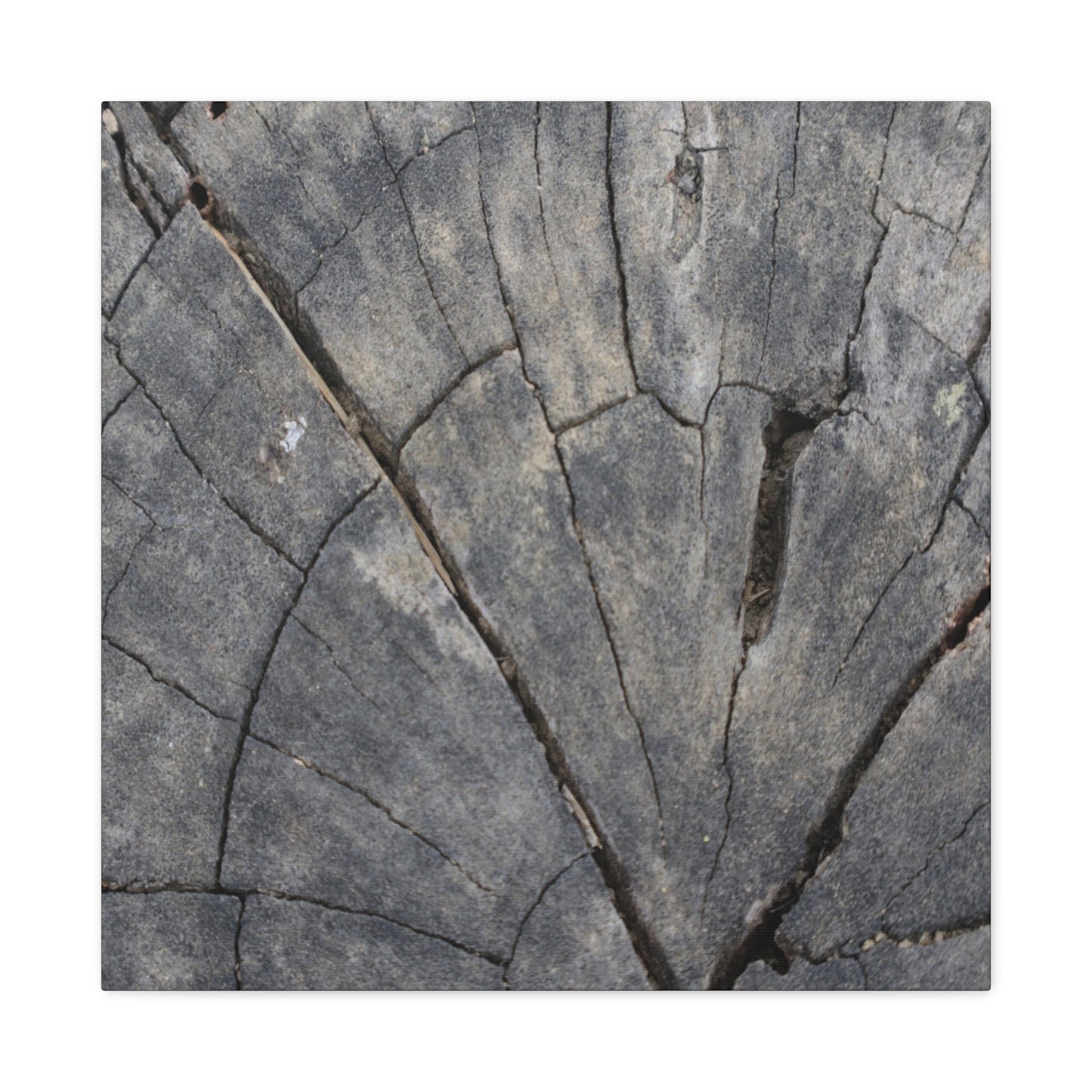 Geological Mosaic - Unique Frameless Canvas Wall Art