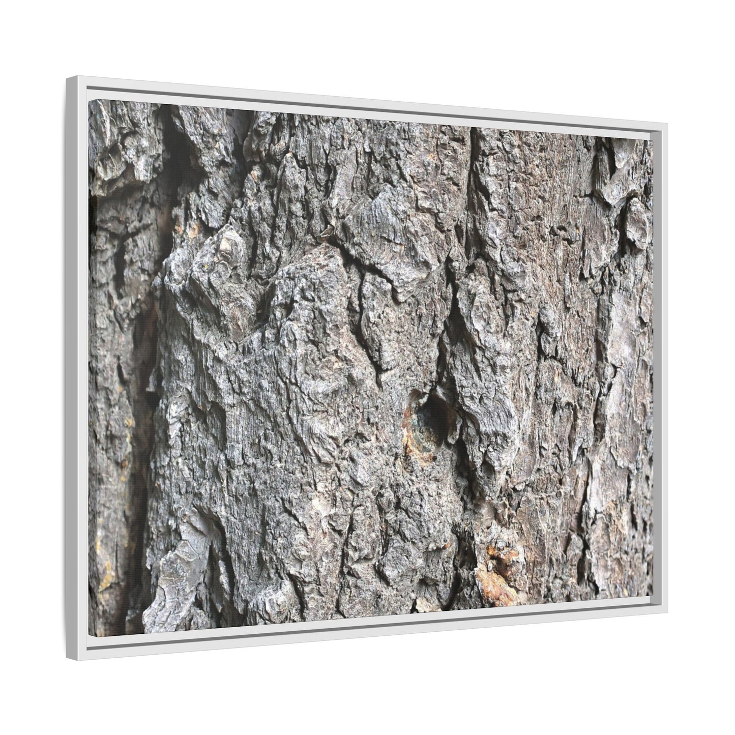 Crusty Exterior - Unique Stretched Canvas Wall Art