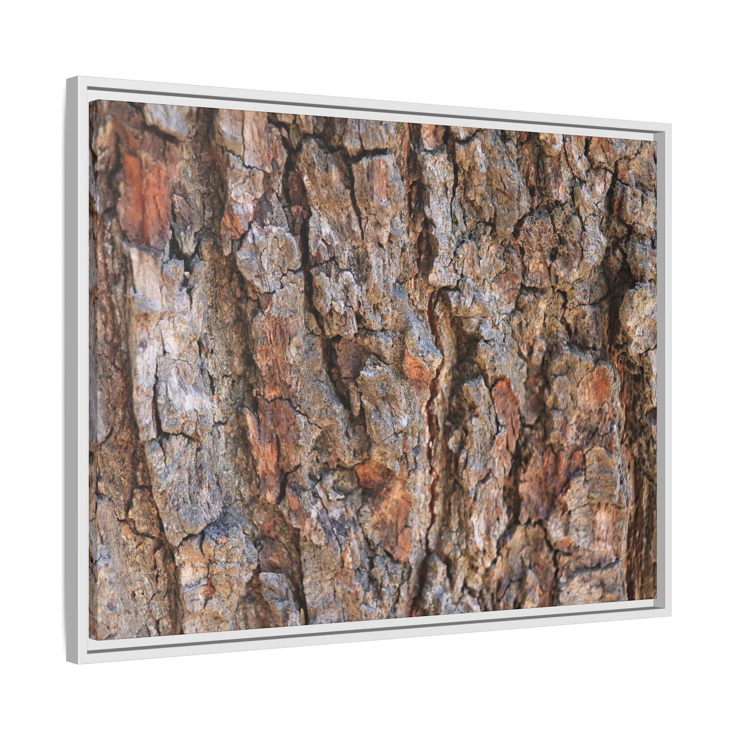 Tree's Timeworn Tale - Unique Stretched Canvas Wall Art