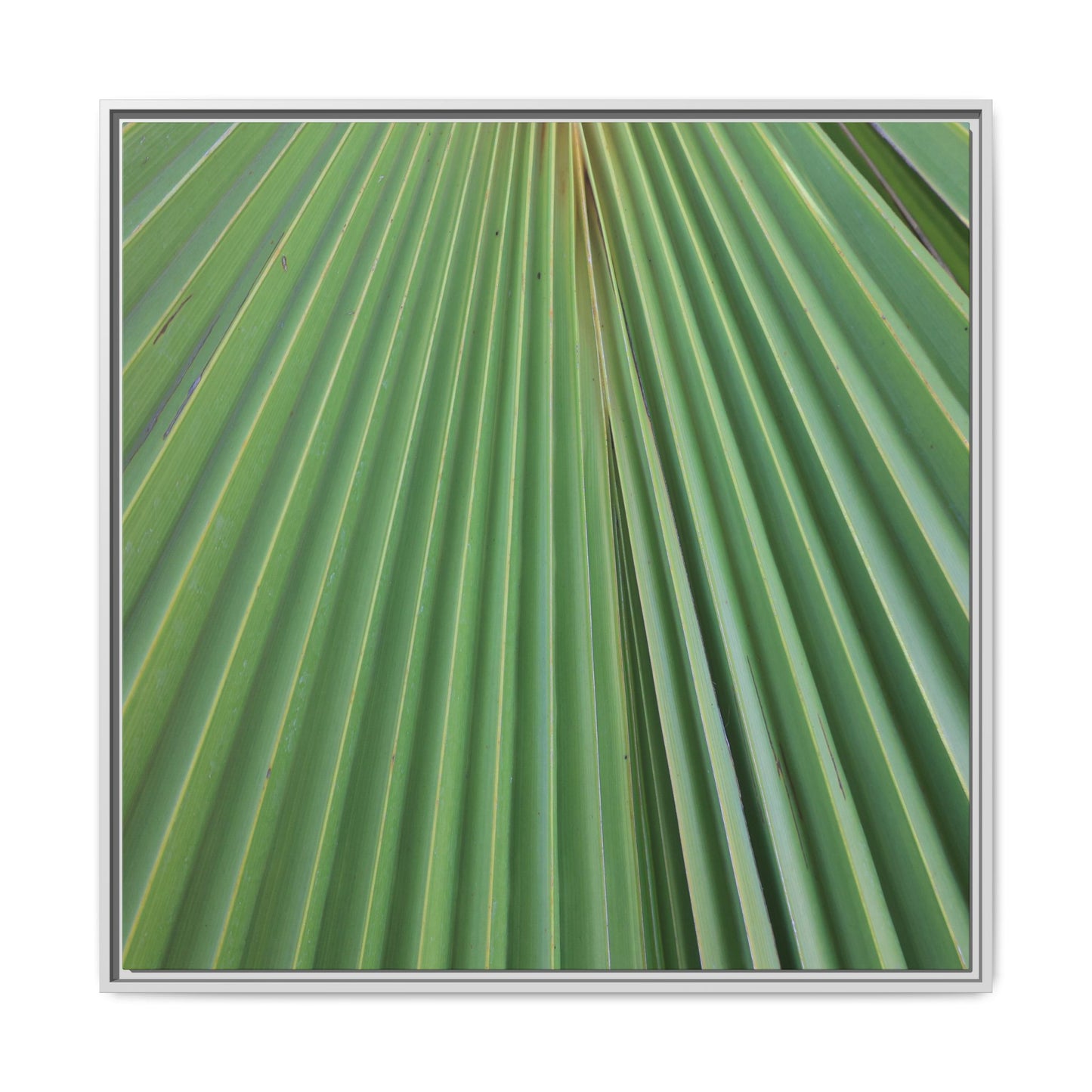 Verdant Veins - Unique Stretched Canvas Wall Art