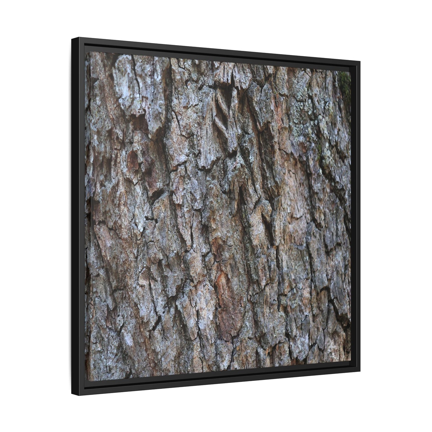 Woodland Skin - Unique Stretched Canvas Wall Art