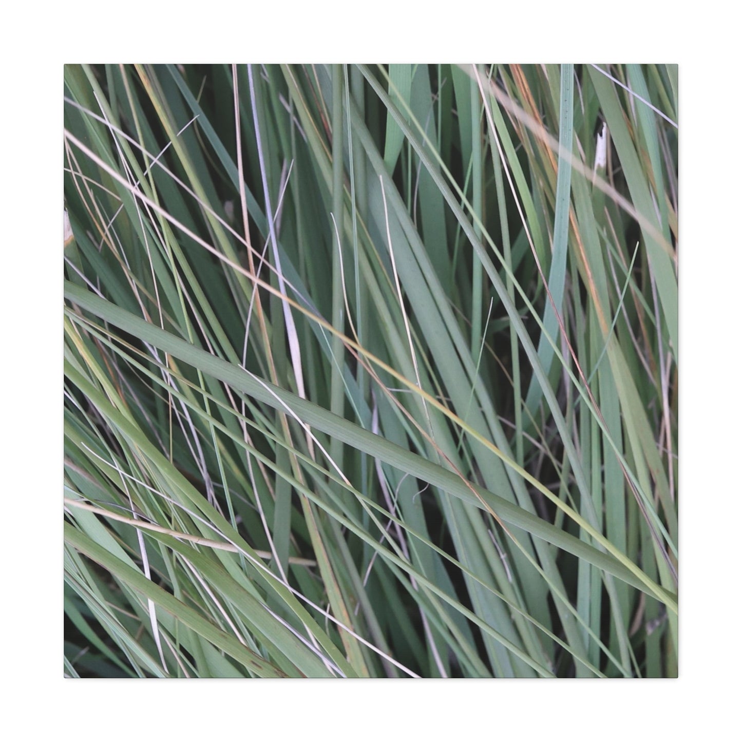 Whispers of Green - Unique Frameless Canvas Wall Art