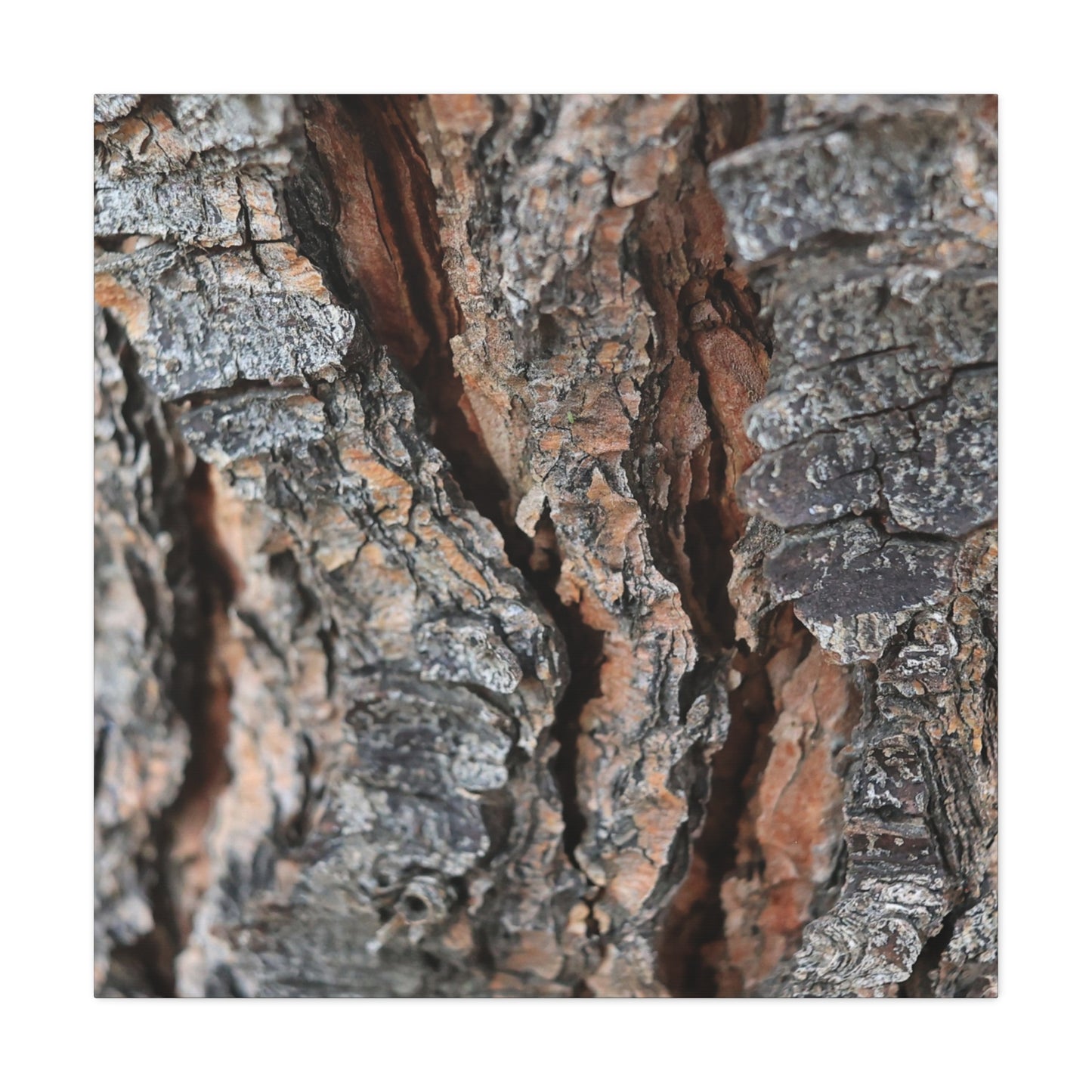 Rough Whispers - Unique Frameless Canvas Wall Art