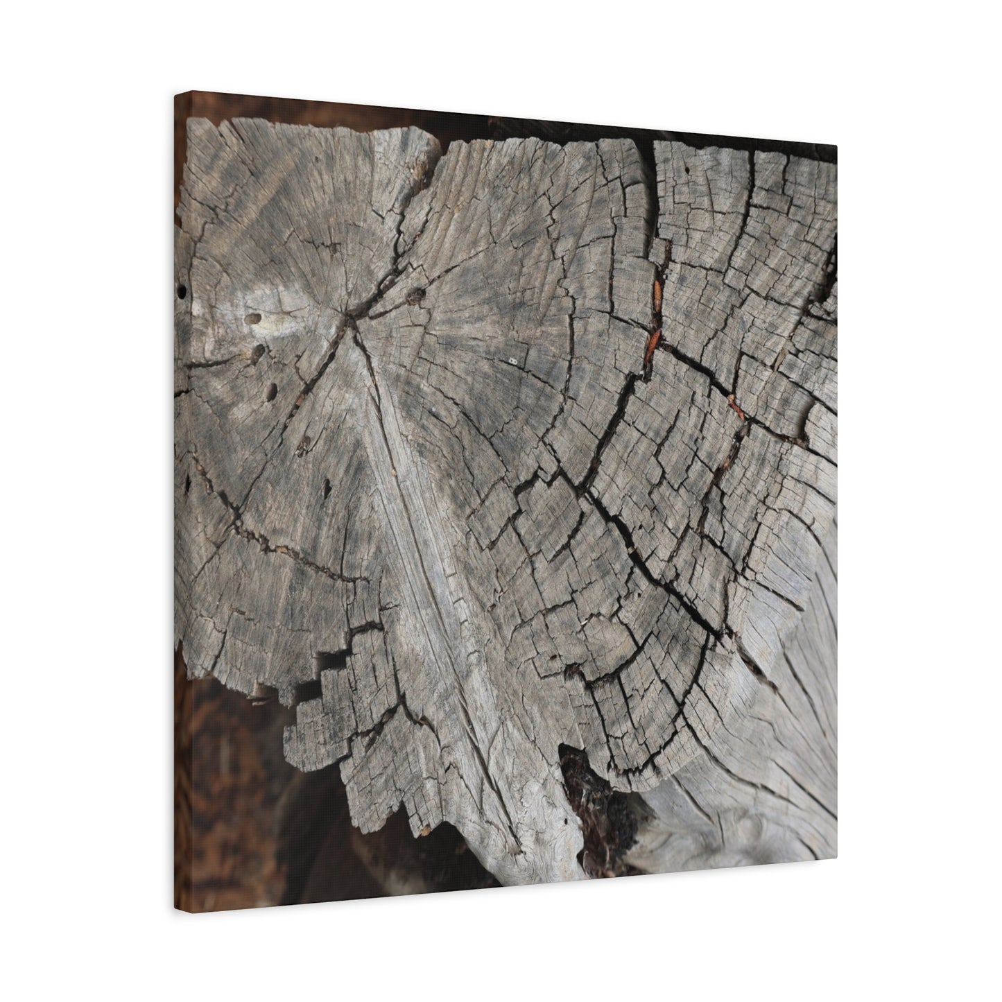 Cracked Memories - Unique Frameless Canvas Wall Art