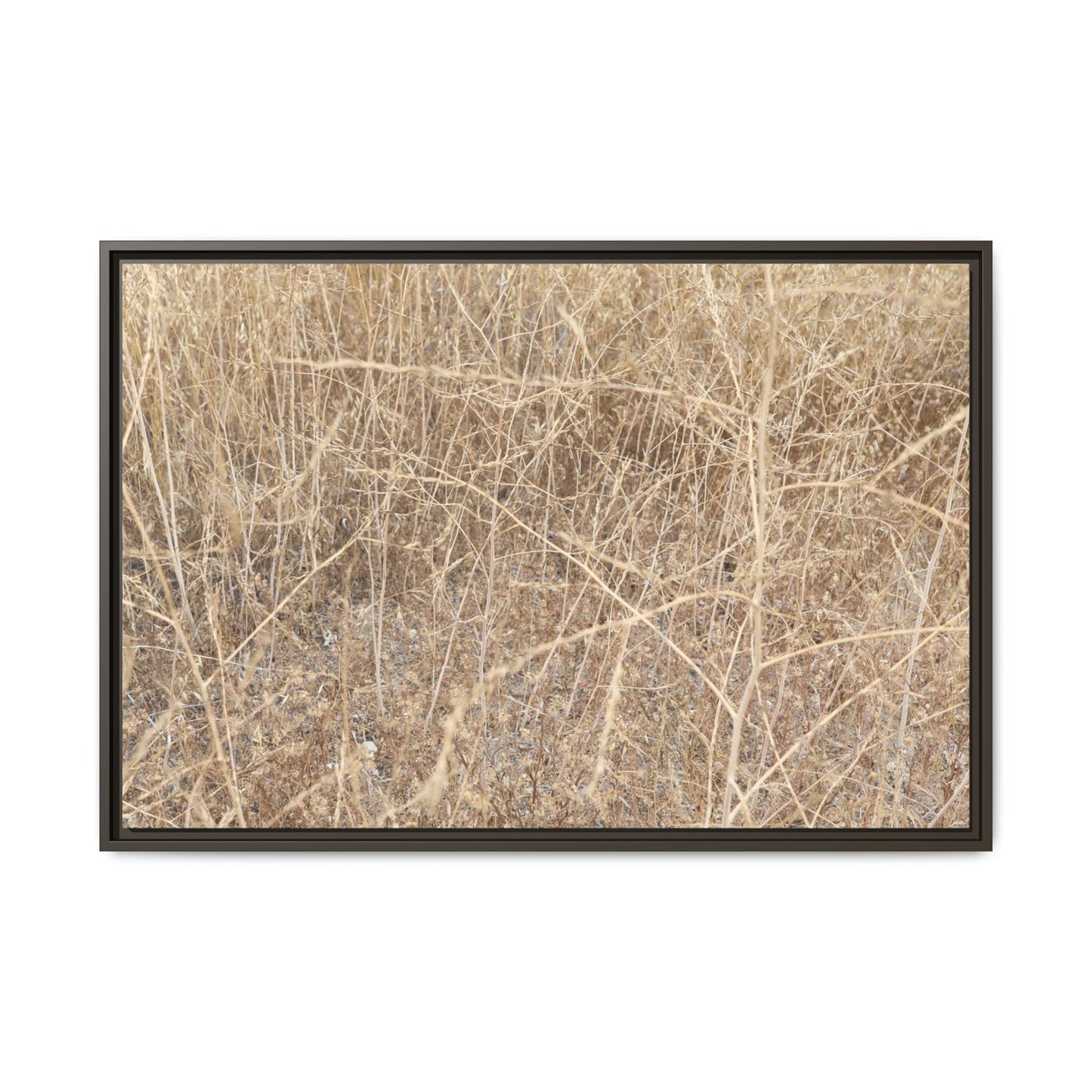 Golden Stalks - Unique Stretched Canvas Wall Art