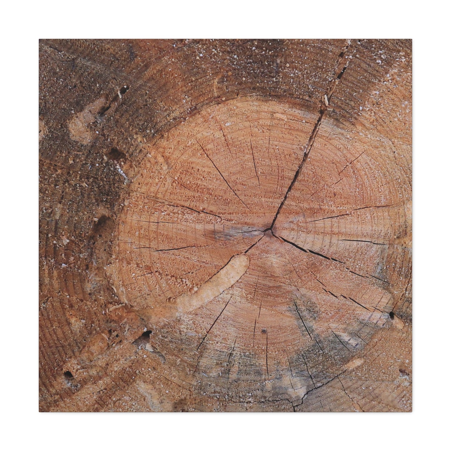 Timber Tale - Unique Frameless Canvas Wall Art