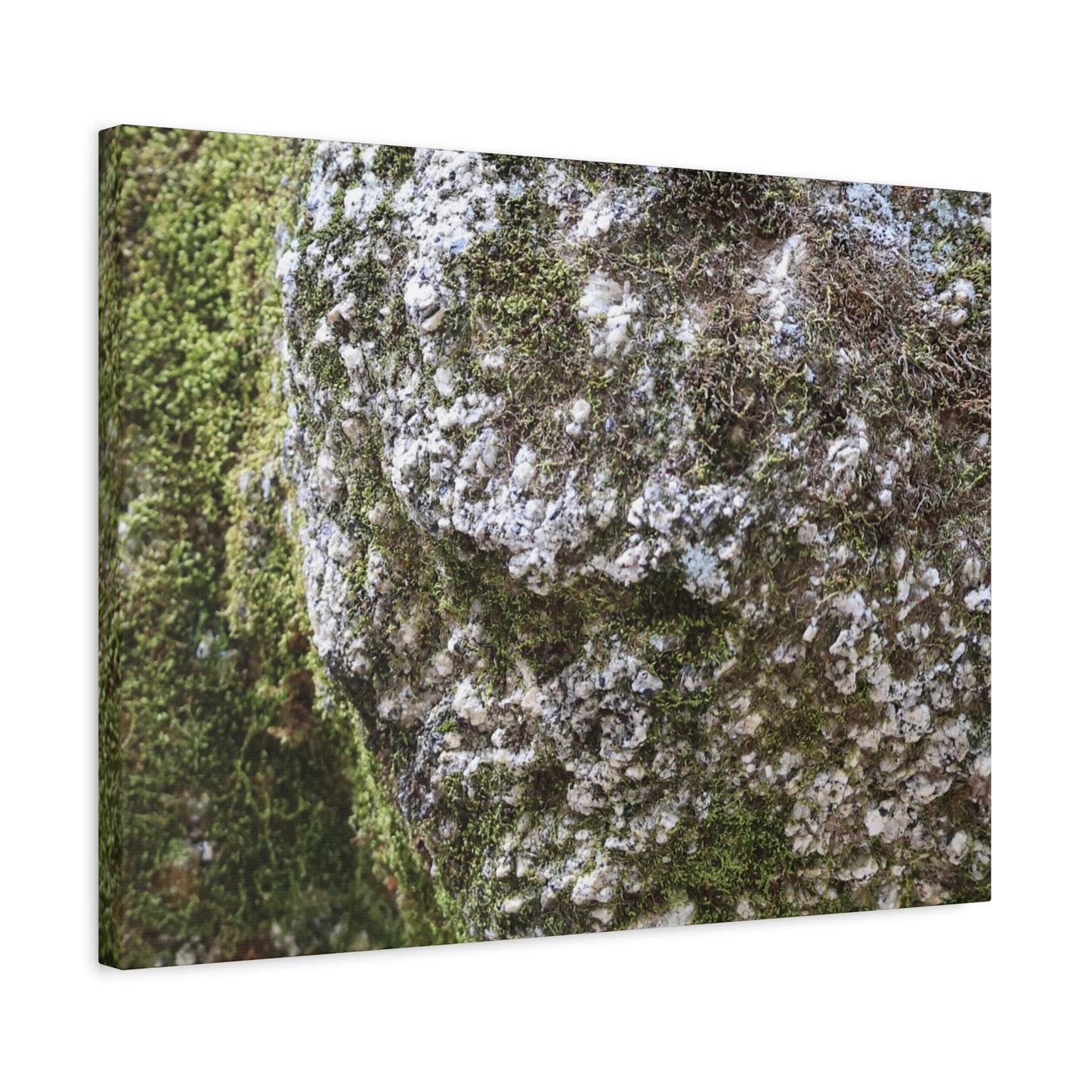 Moss and Stone Whispers - Unique Frameless Canvas Wall Art