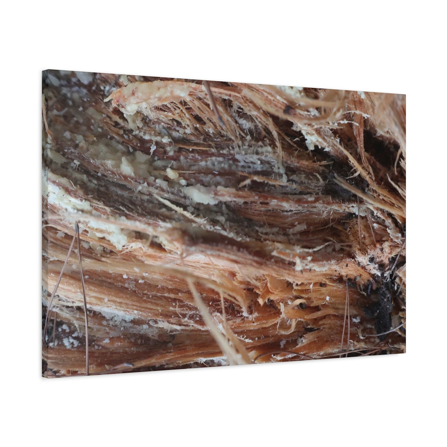 Decaying Whispers - Unique Frameless Canvas Wall Art
