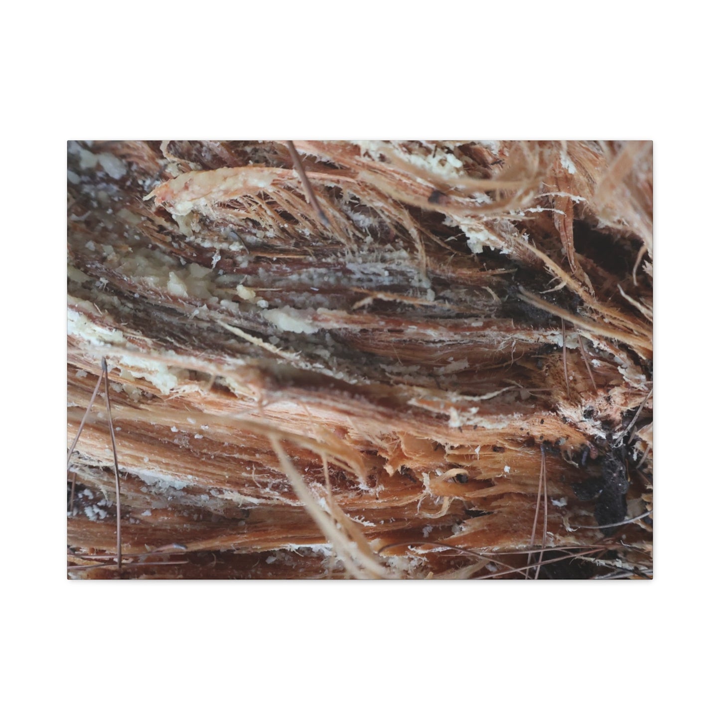 Decaying Whispers - Unique Frameless Canvas Wall Art