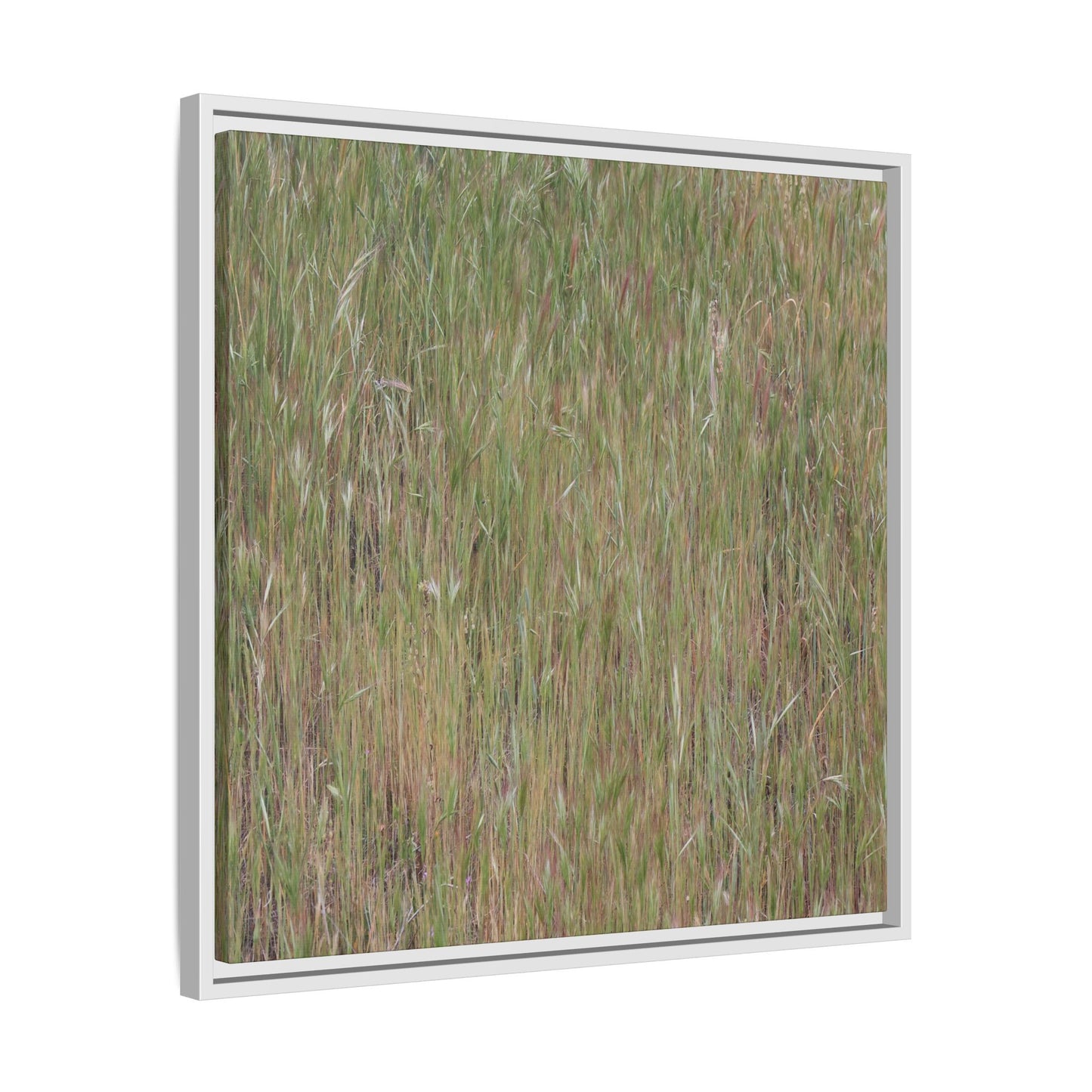 Field of Dreams - Unique Stretched Canvas Wall Art