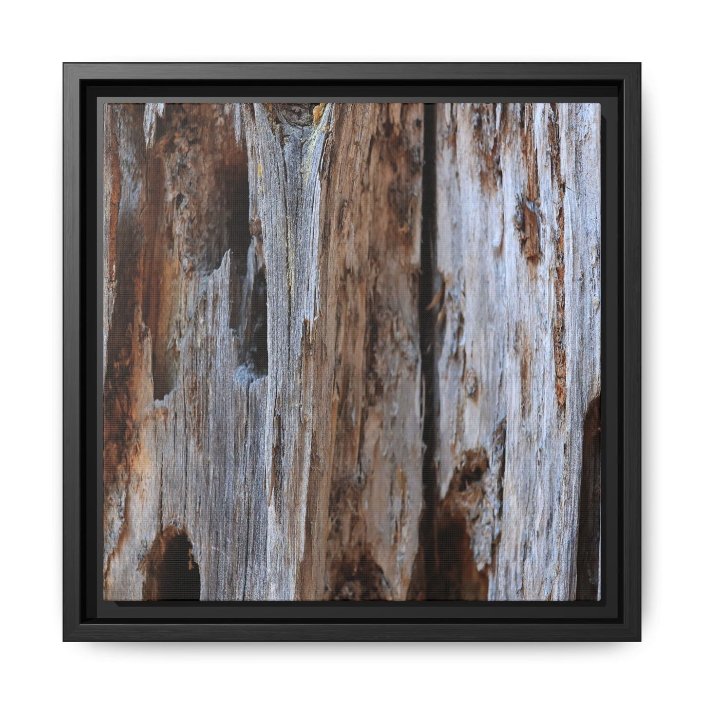 Decaying Splendor - Unique Stretched Canvas Wall Art