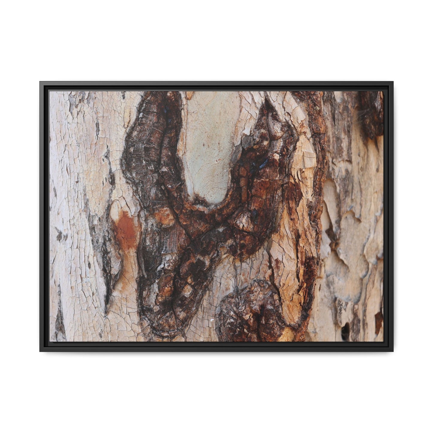 Texture of Time - Unique Stretched Canvas Wall Art