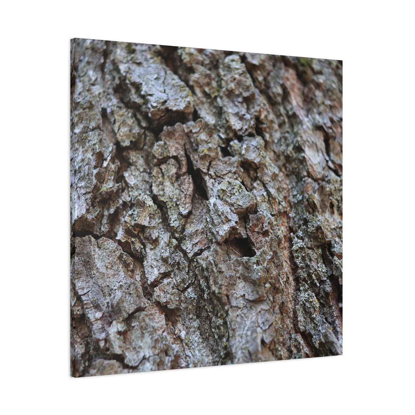 Cracked Echoes - Unique Frameless Canvas Wall Art