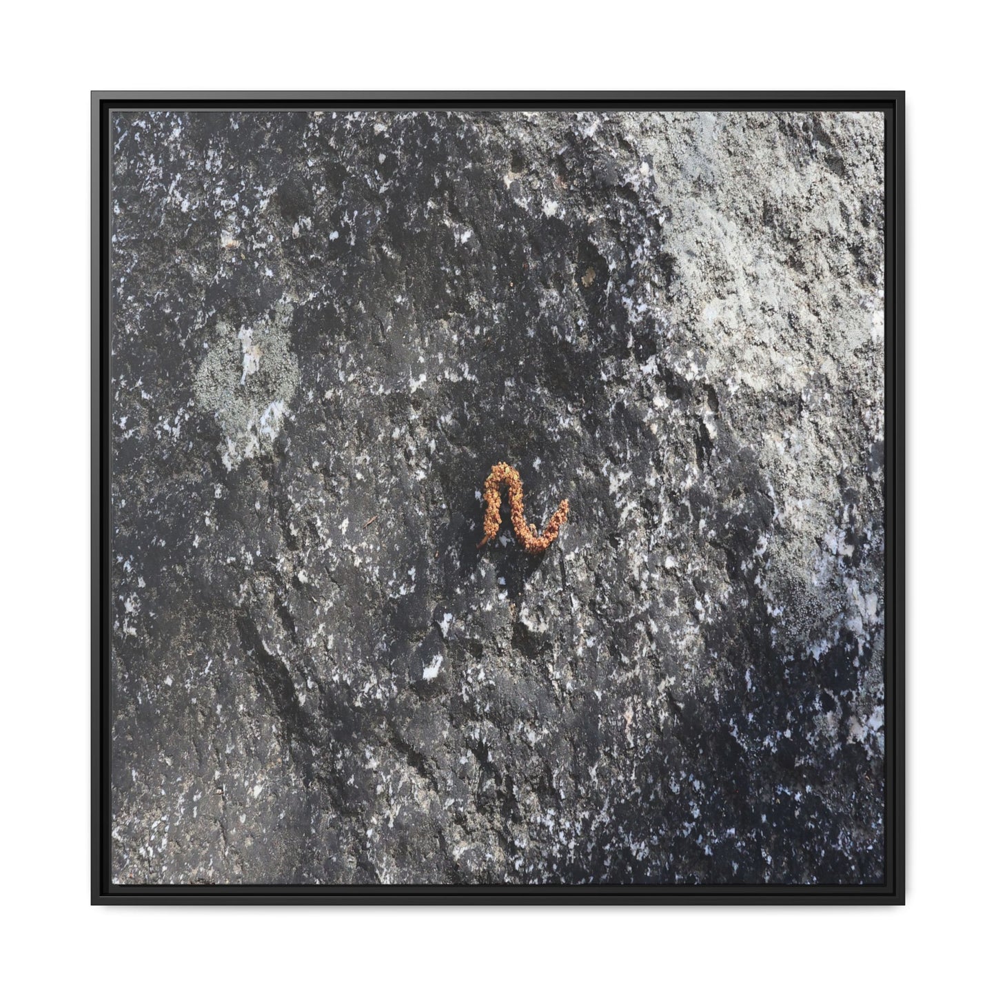 Volcanic Ash and Copper - Unique Stretched Canvas Wall Art