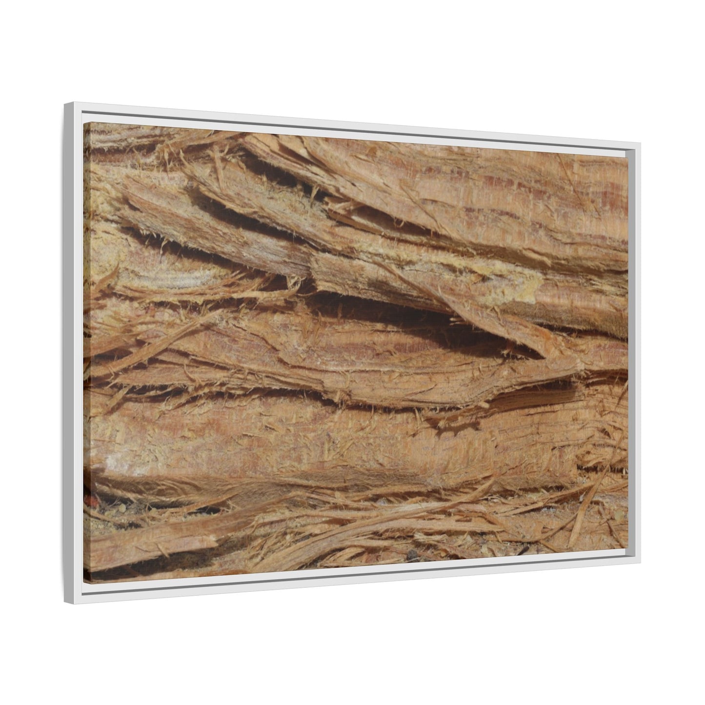 Splintered Bark - Unique Stretched Canvas Wall Art