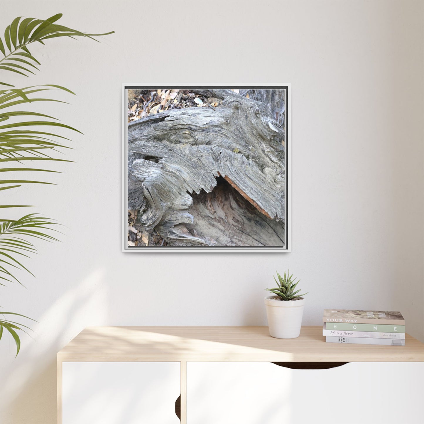 Driftwood Dreams - Unique Stretched Canvas Wall Art