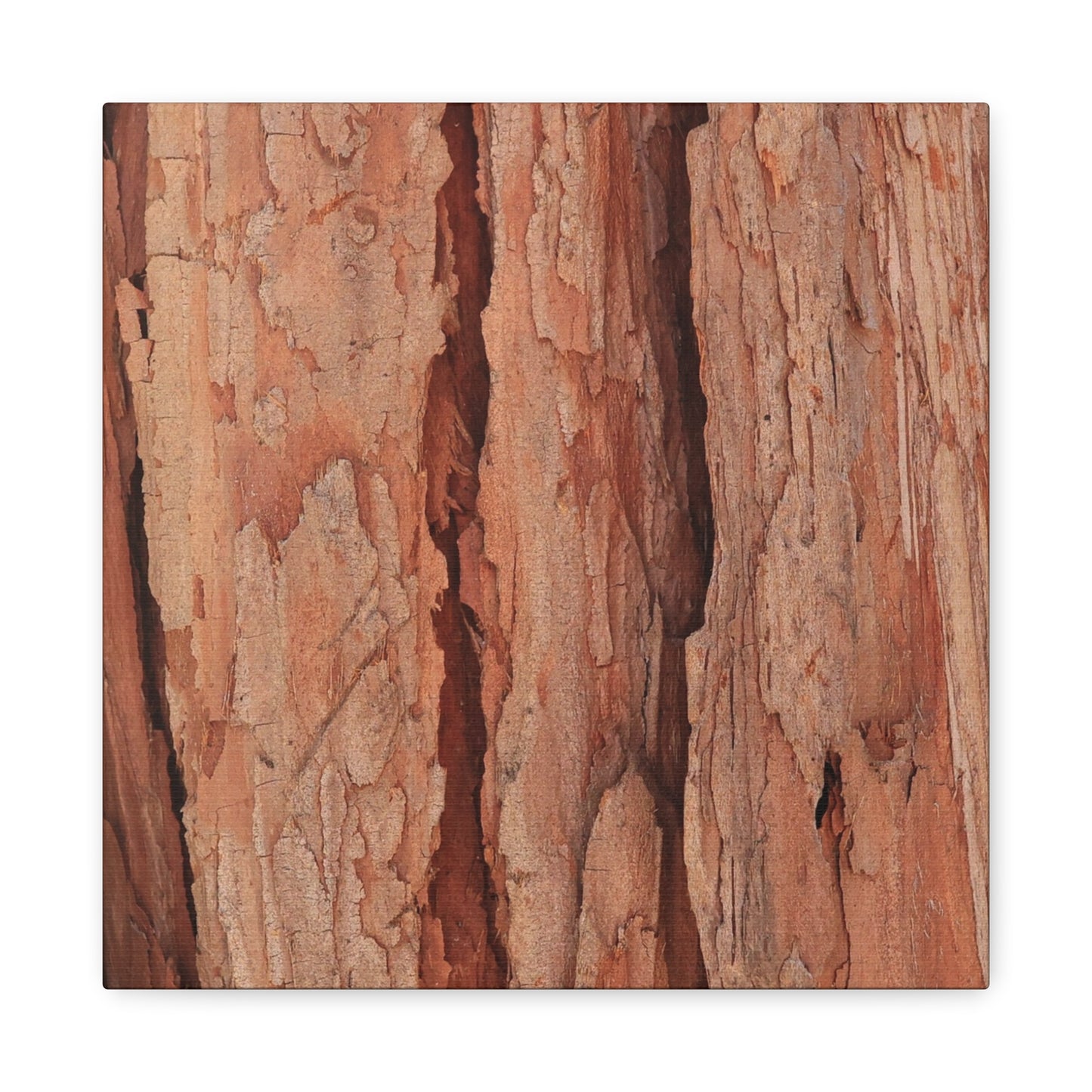 Bark Layers of Time - Unique Frameless Canvas Wall Art