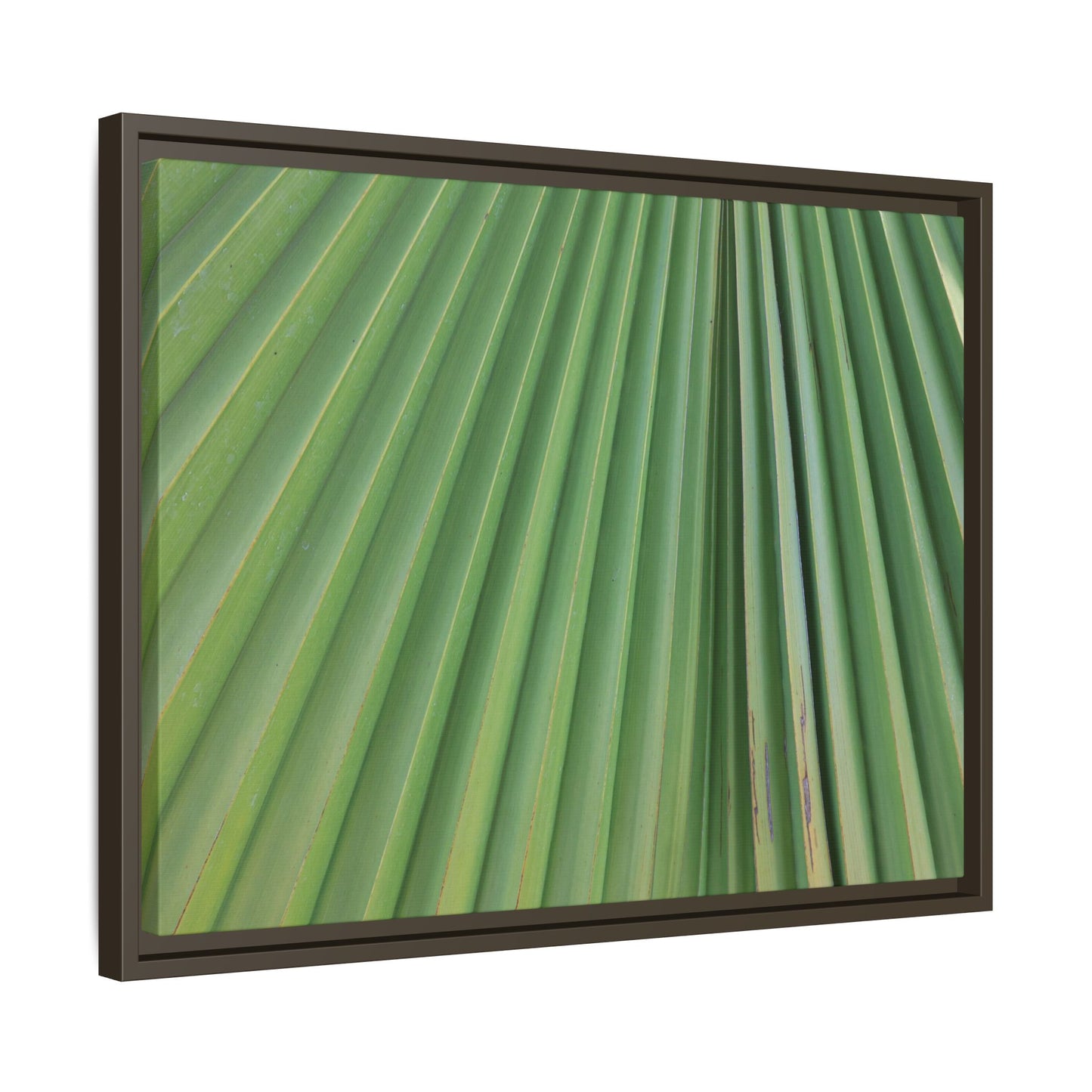 Emerald Rays - Unique Stretched Canvas Wall Art
