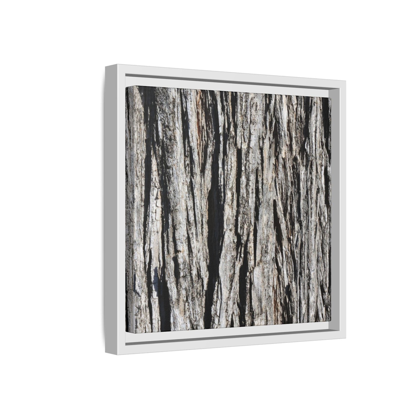 Bark Lines - Unique Stretched Canvas Wall Art