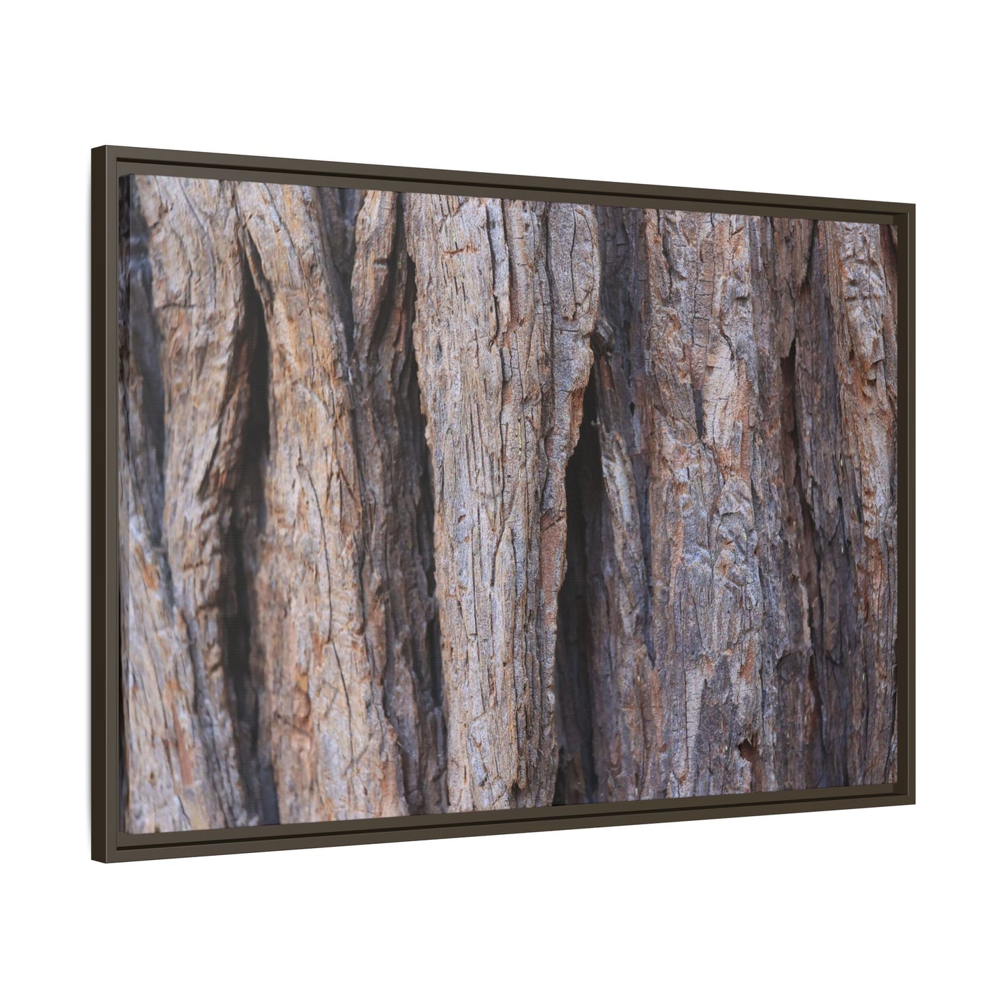 Ancient Grains - Unique Stretched Canvas Wall Art