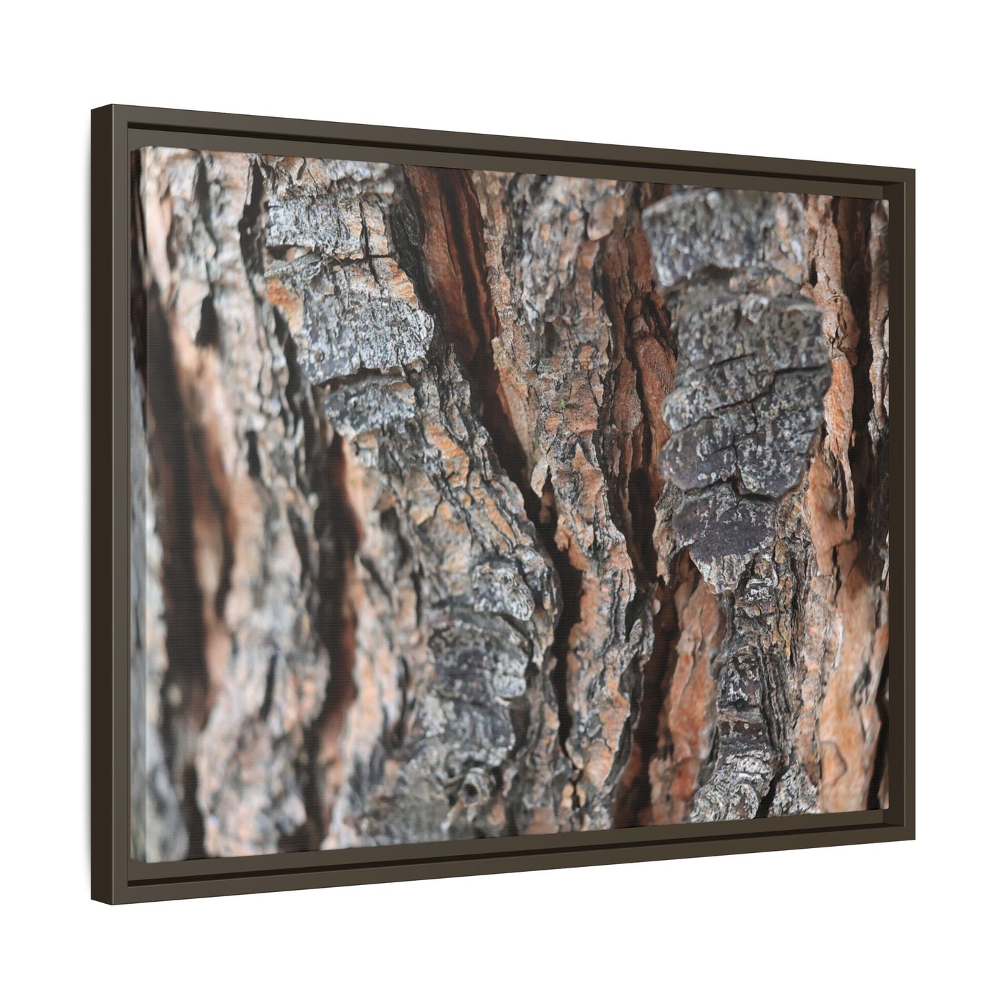 Fractured Nature - Unique Stretched Canvas Wall Art