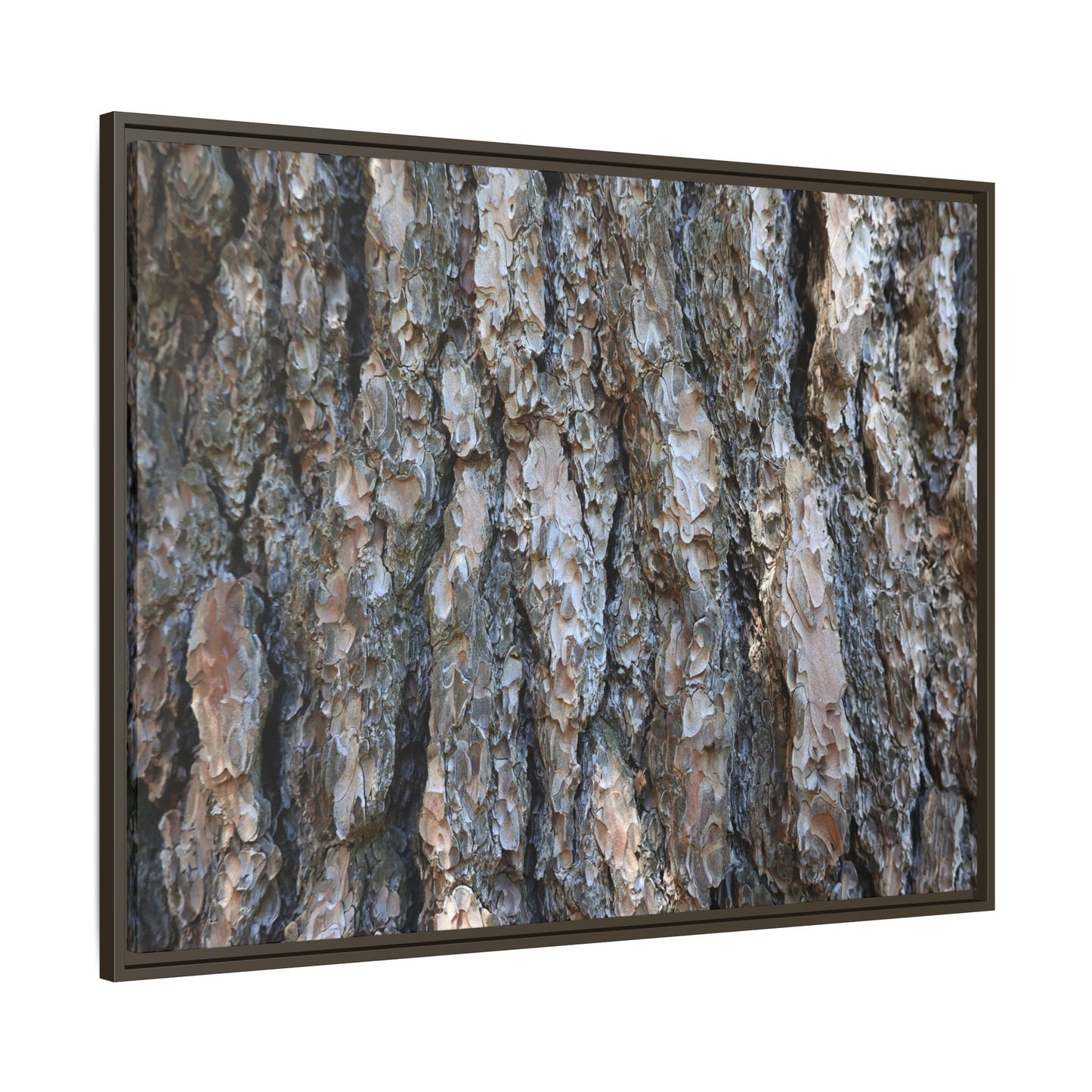 Bark Whispers - Unique Stretched Canvas Wall Art