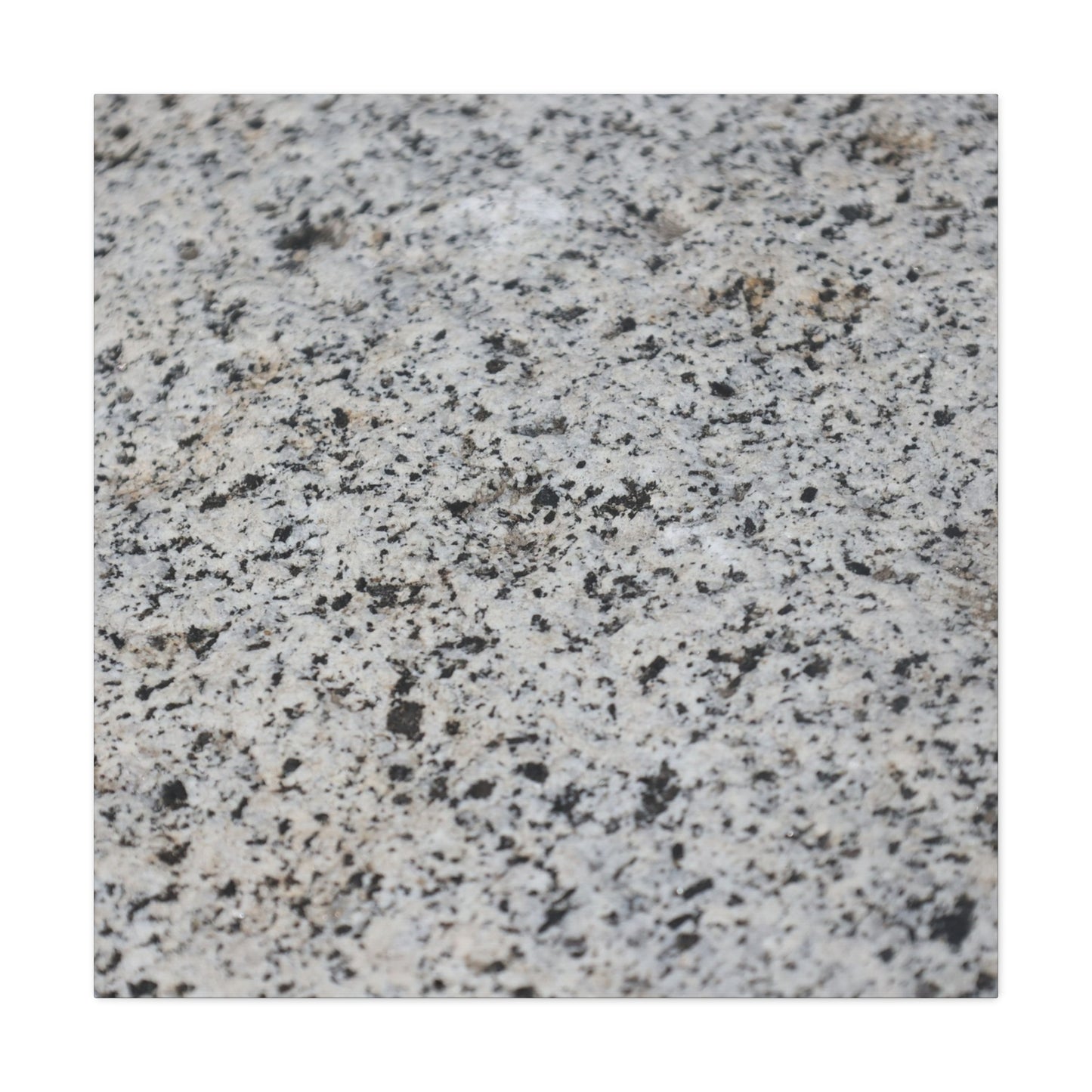 Speckled Silence - Unique Frameless Canvas Wall Art