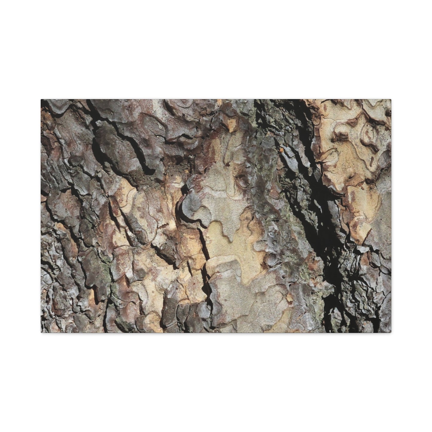 Tree Bark Symphony - Unique Frameless Canvas Wall Art