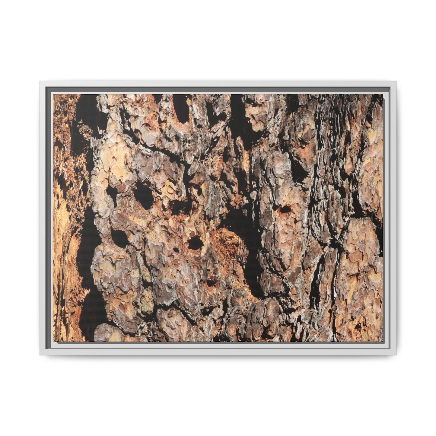 Rugged Rhythms - Unique Stretched Canvas Wall Art