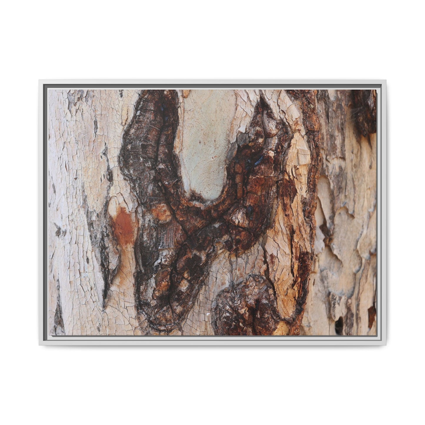 Texture of Time - Unique Stretched Canvas Wall Art